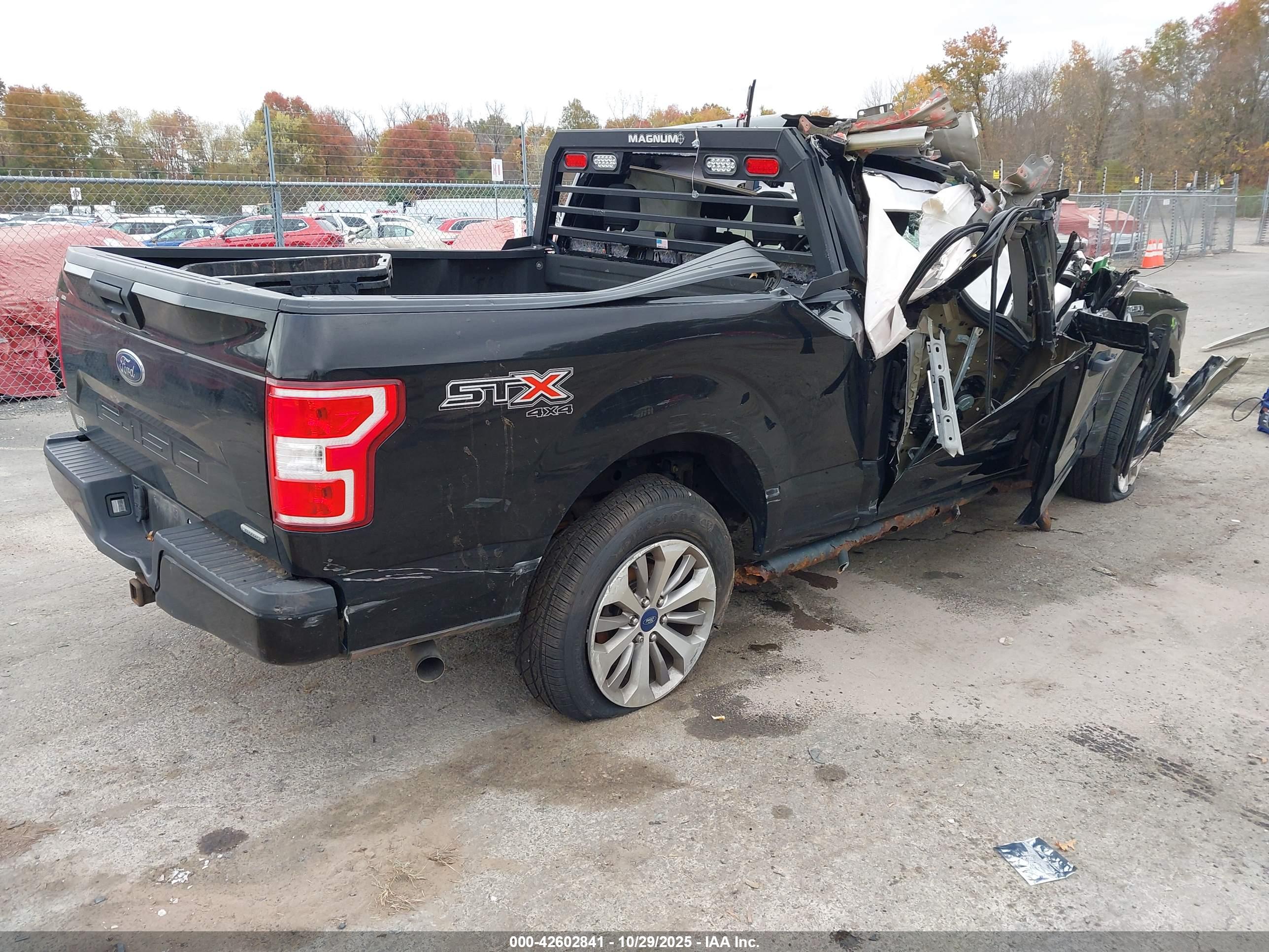 FORD F-150 image 4