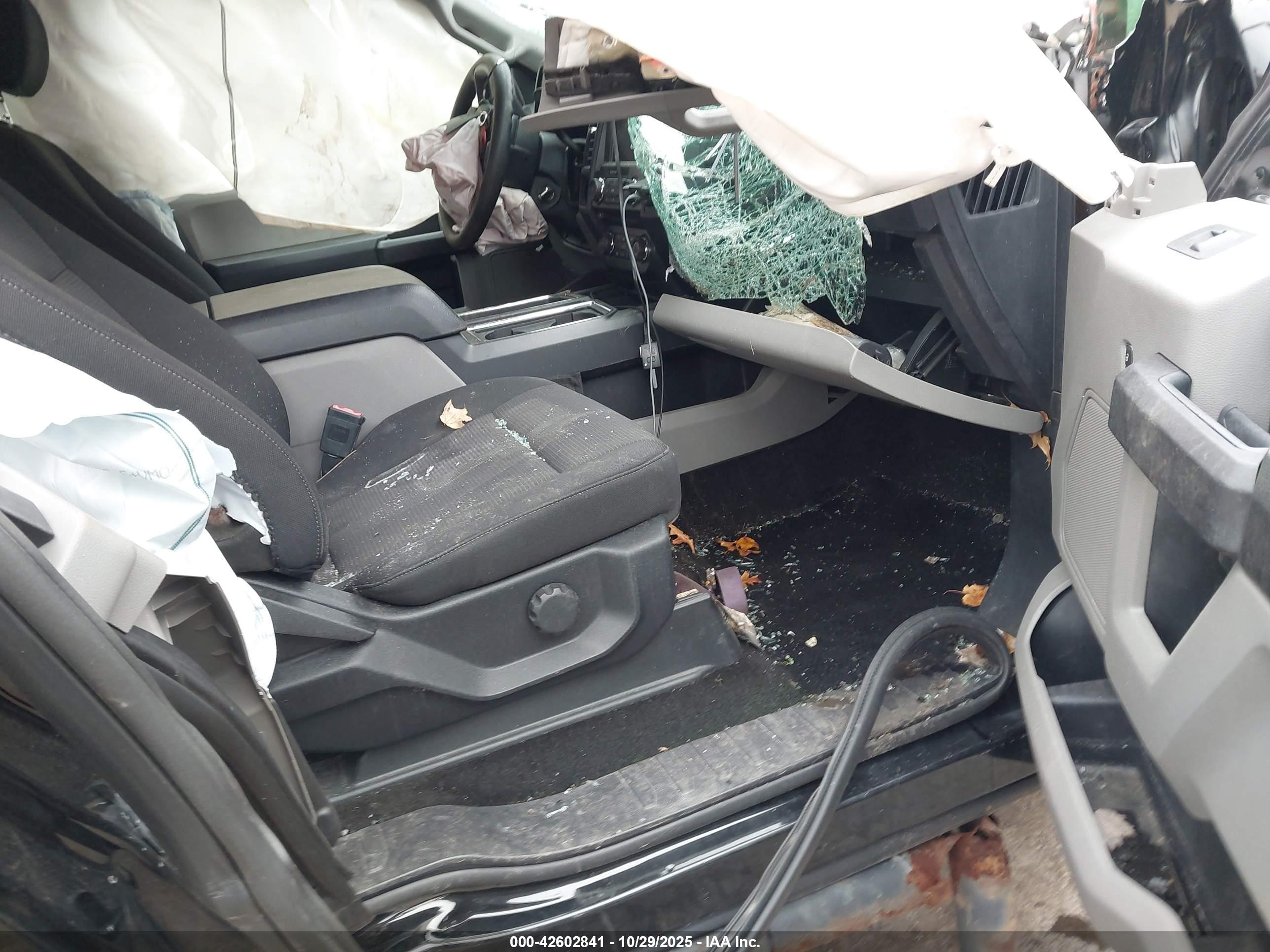 FORD F-150 image 5
