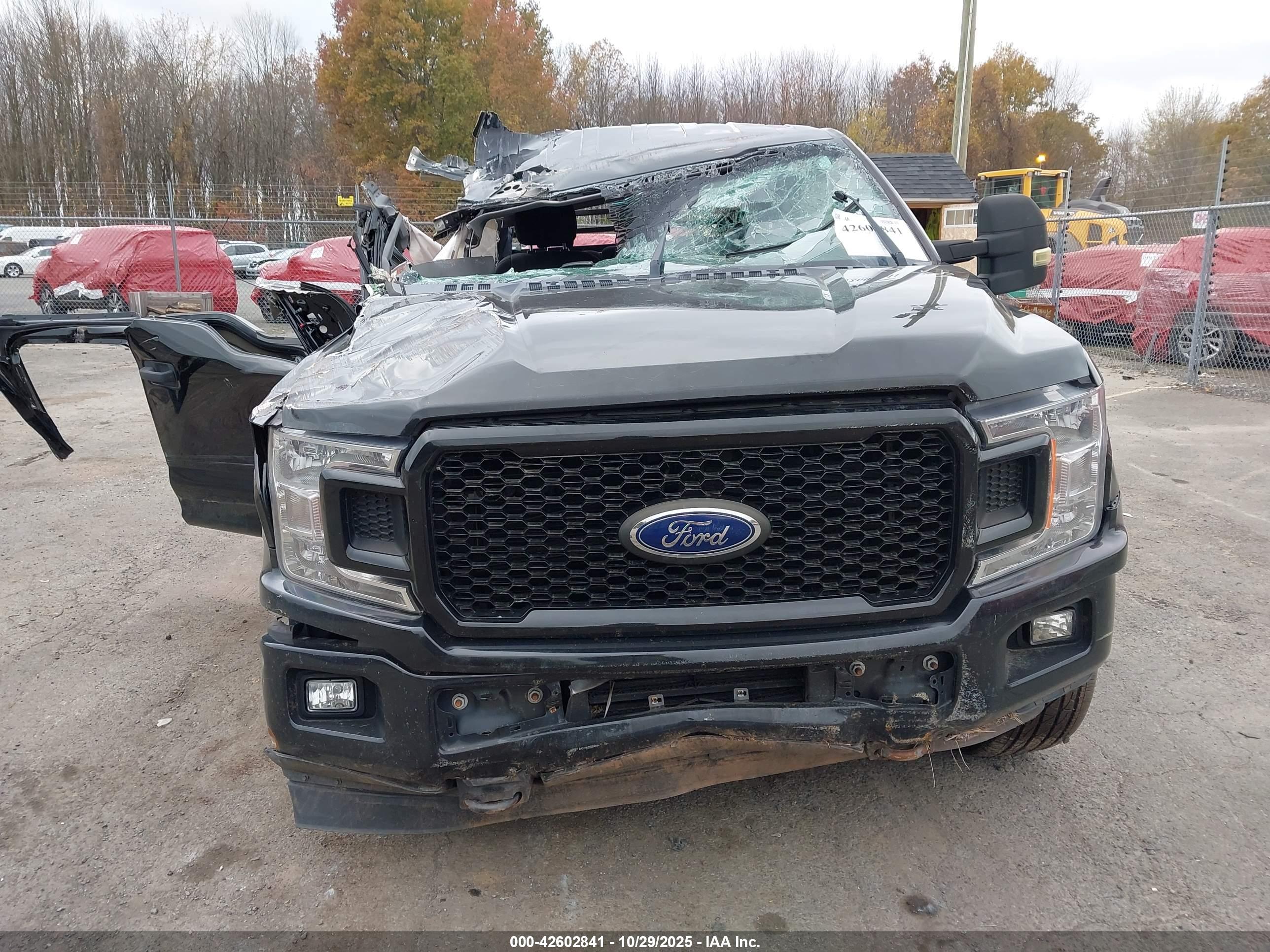 FORD F-150 image 6