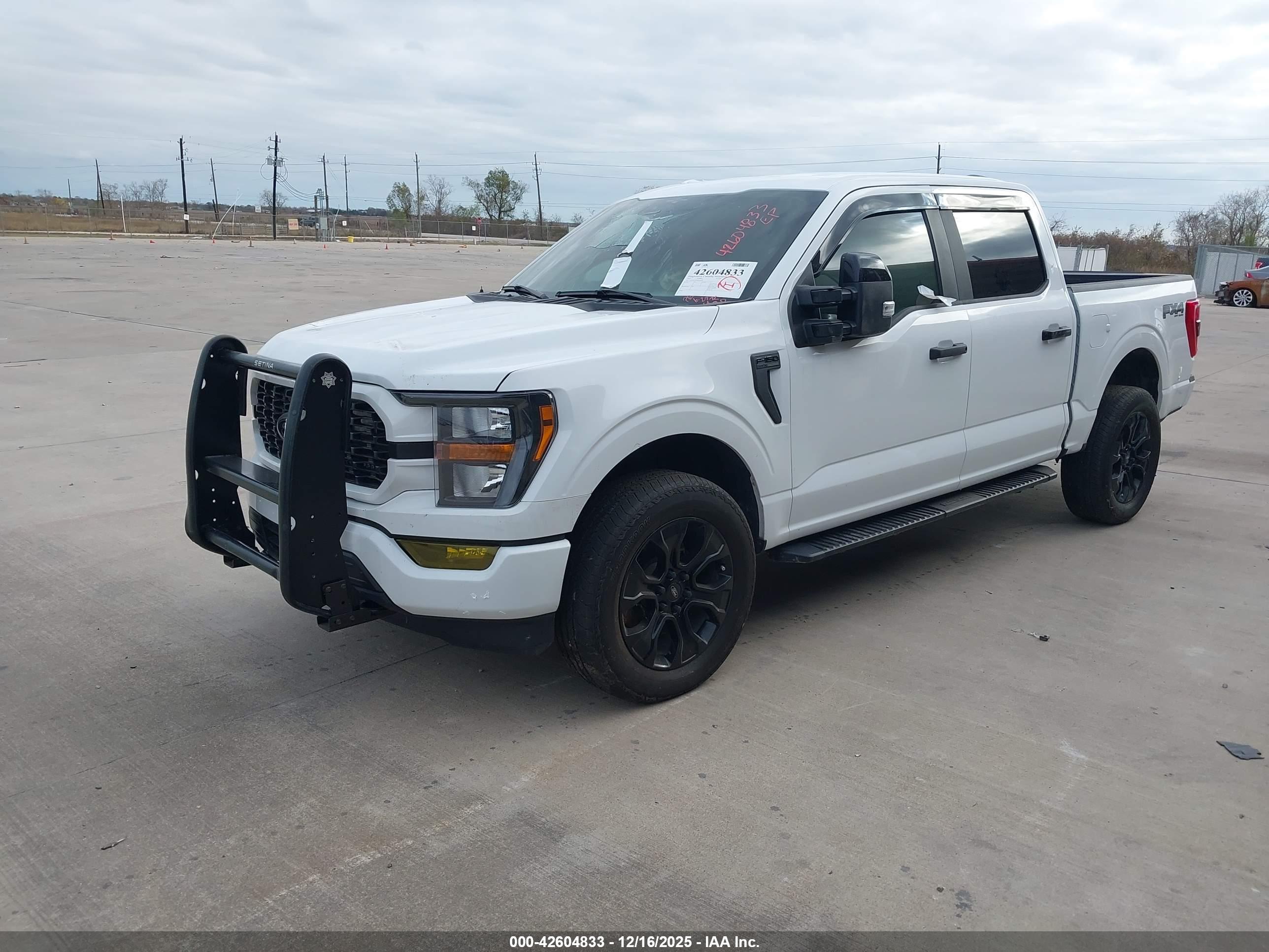 FORD F-150 image 2