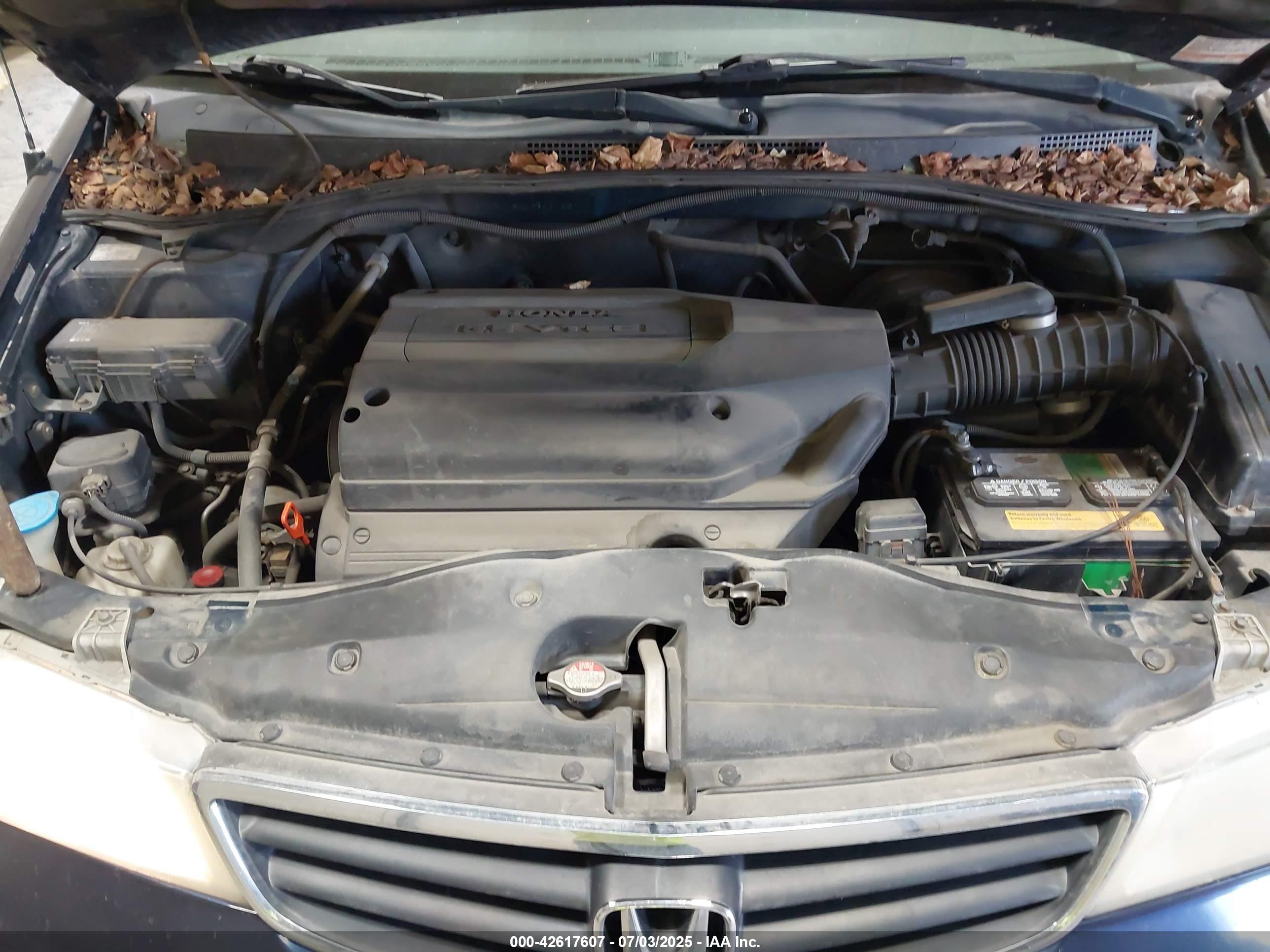 HONDA ODYSSEY image 10