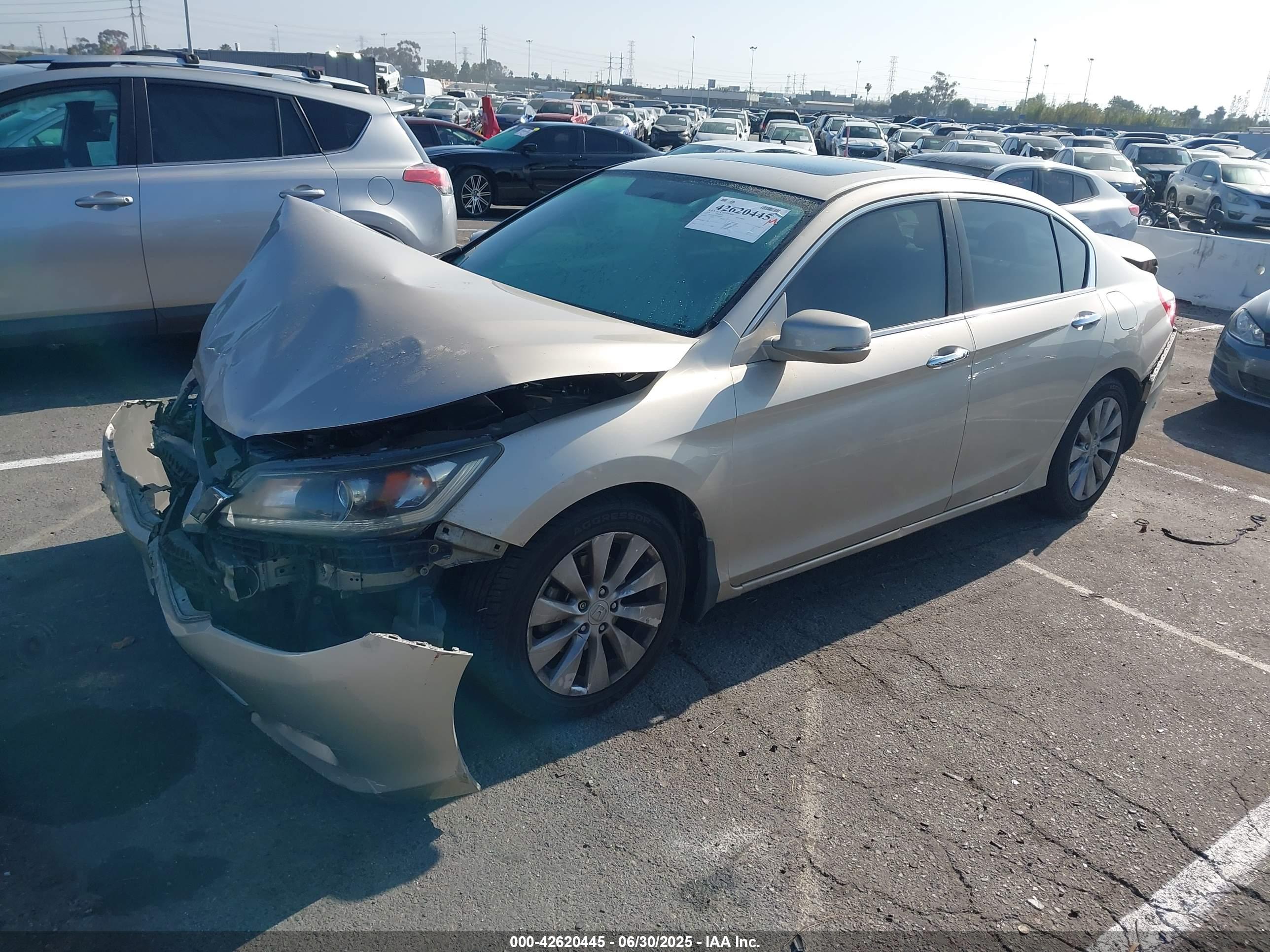 HONDA ACCORD image 2