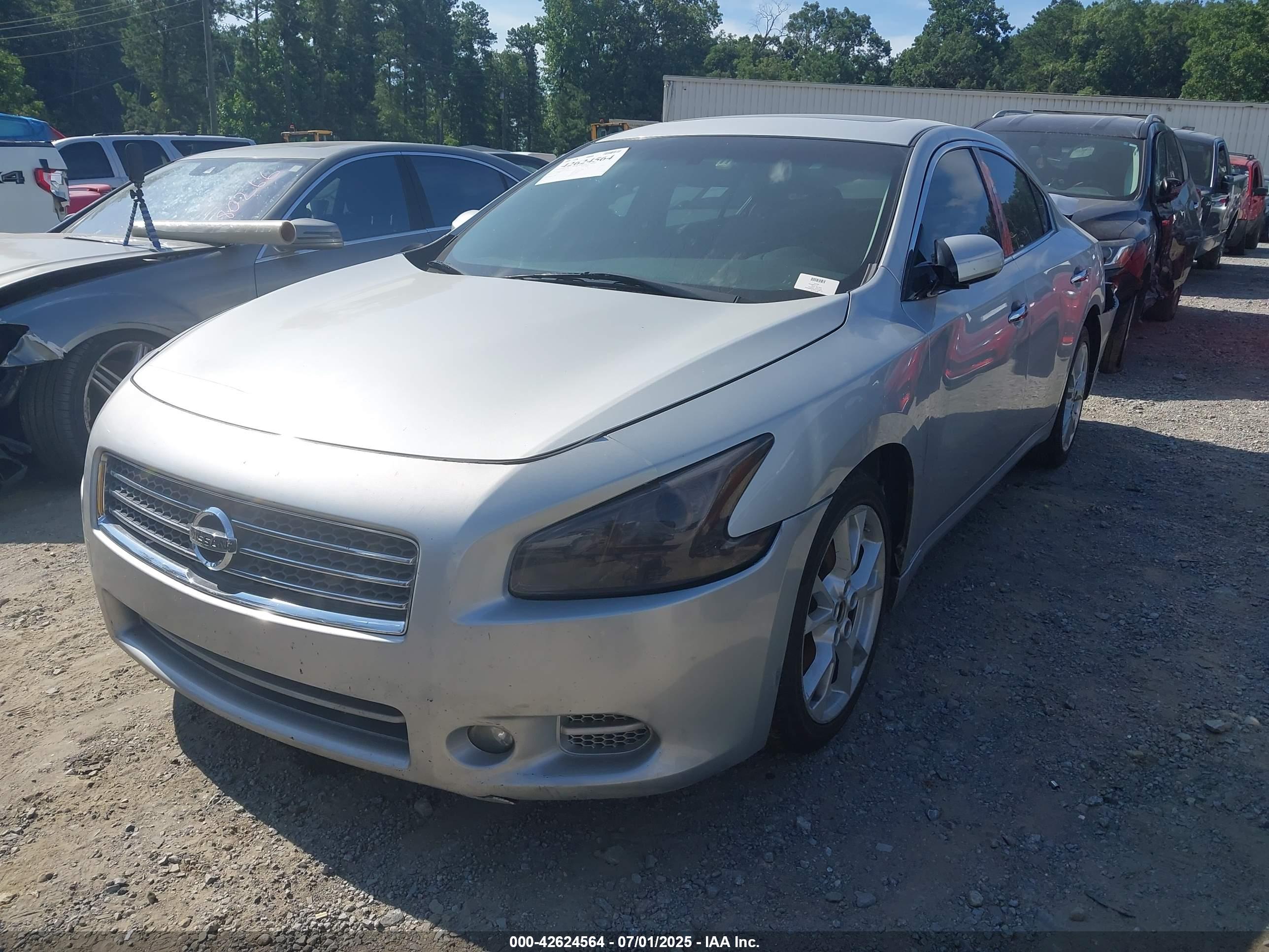 NISSAN MAXIMA image 2