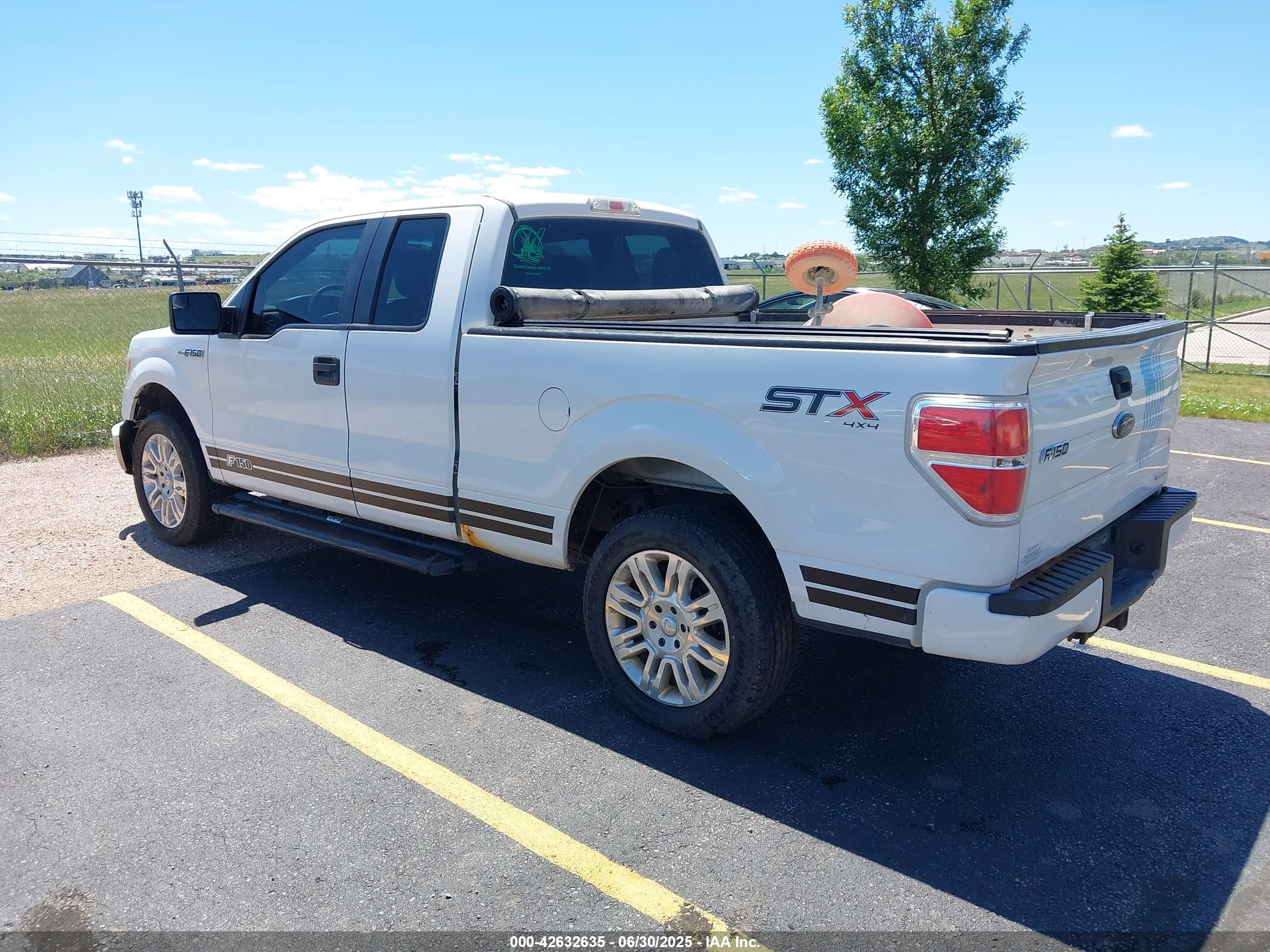 FORD F-150 image 3