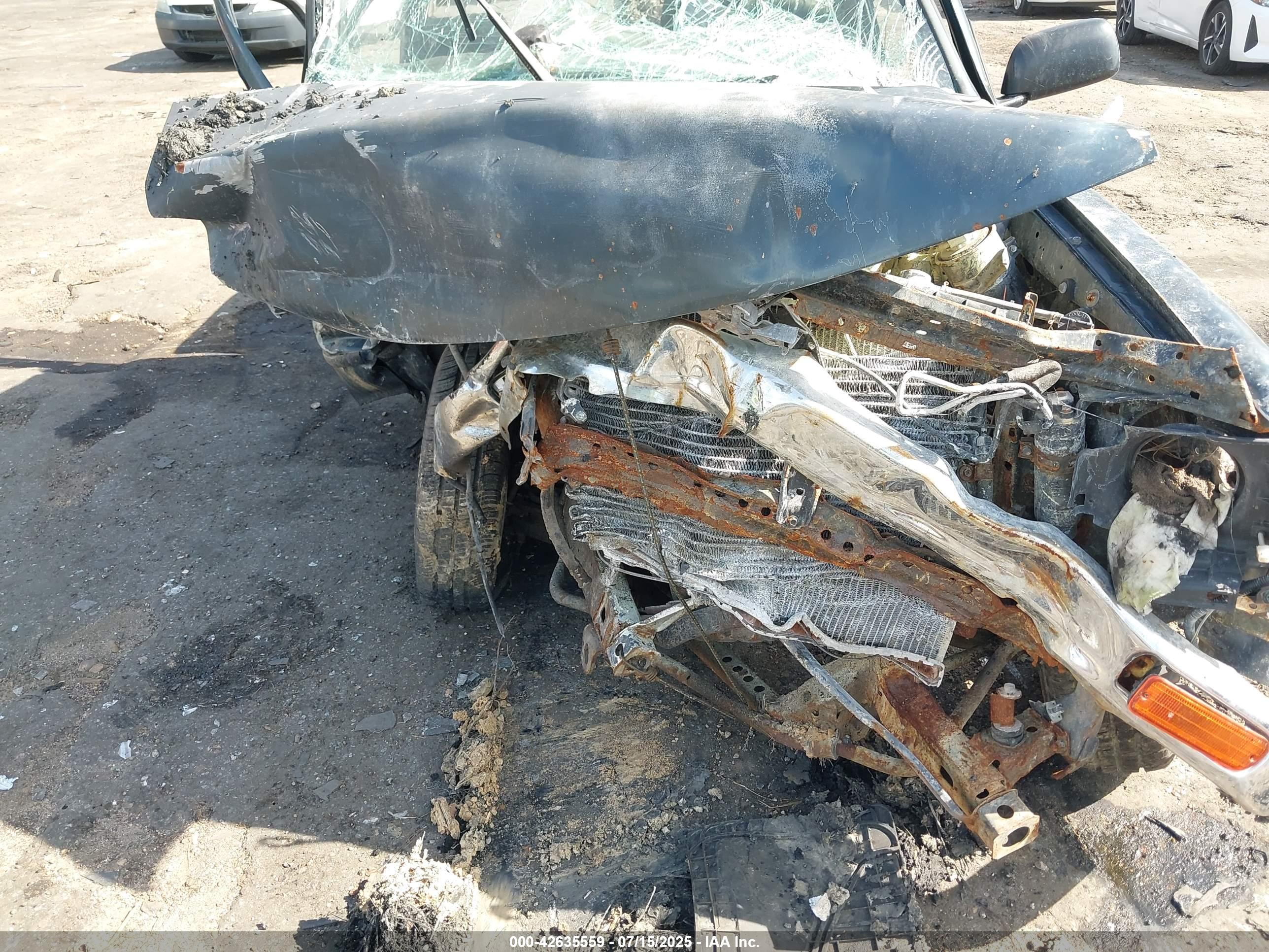 TOYOTA TACOMA image 10