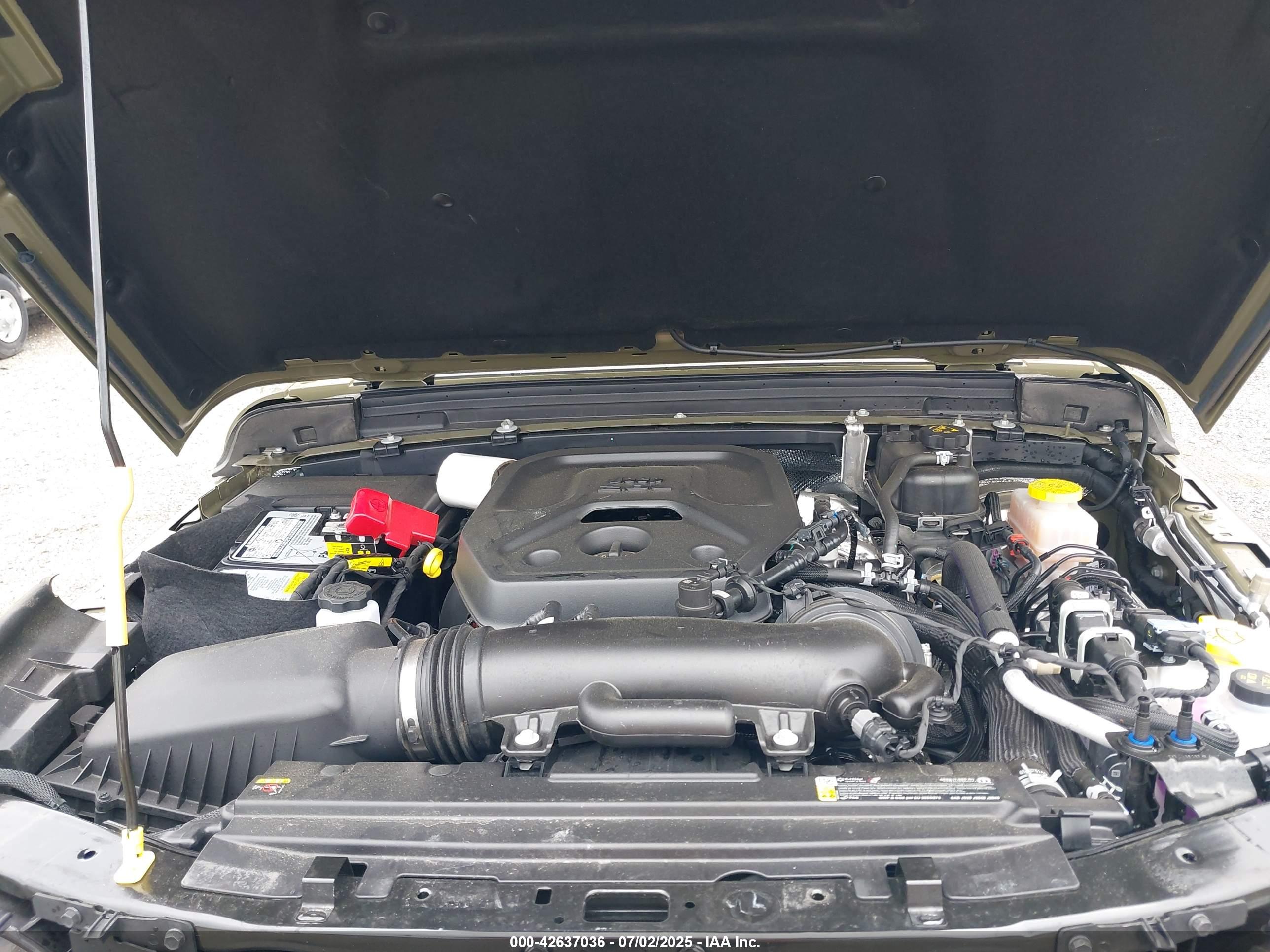 JEEP WRANGLER image 10
