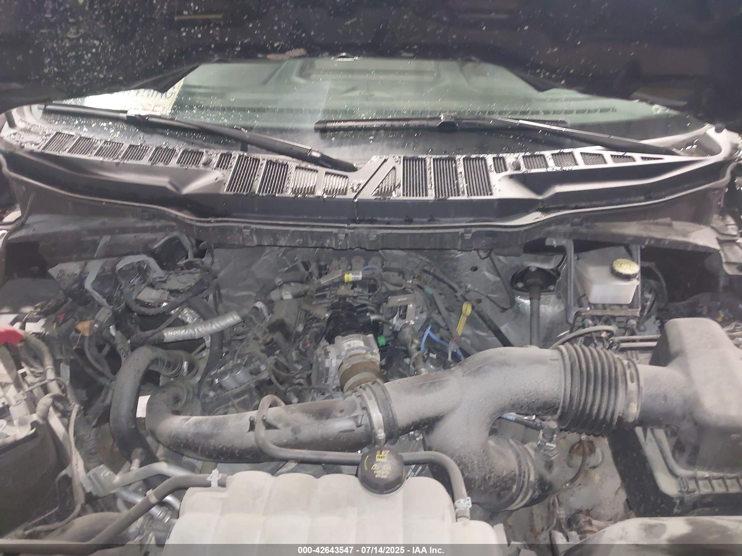 FORD F-150 image 10