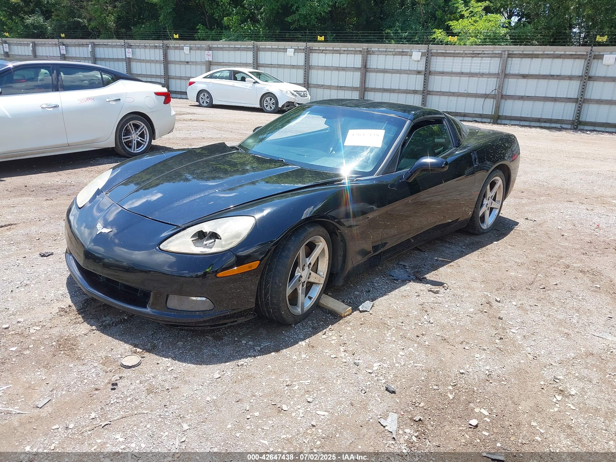 CHEVROLET CORVETTE image 2