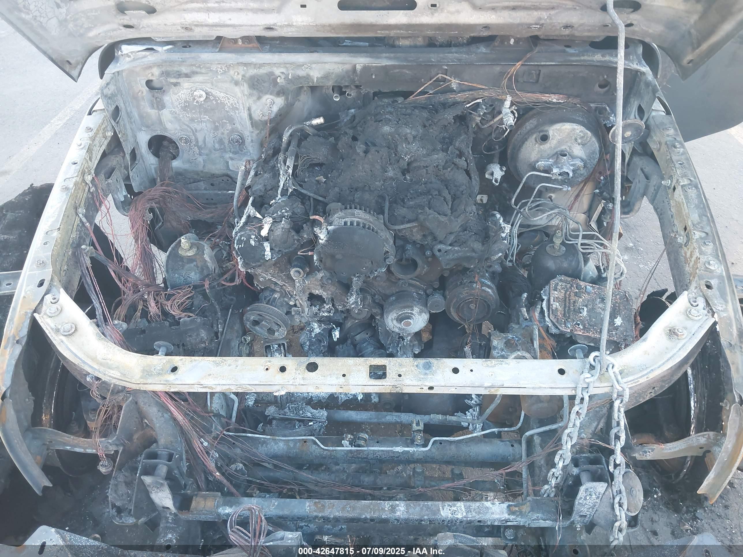 JEEP WRANGLER image 10