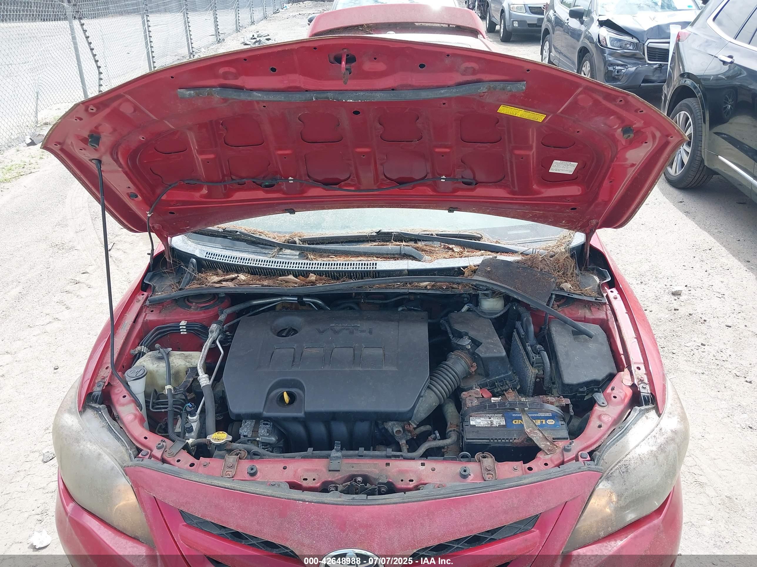 TOYOTA COROLLA image 10