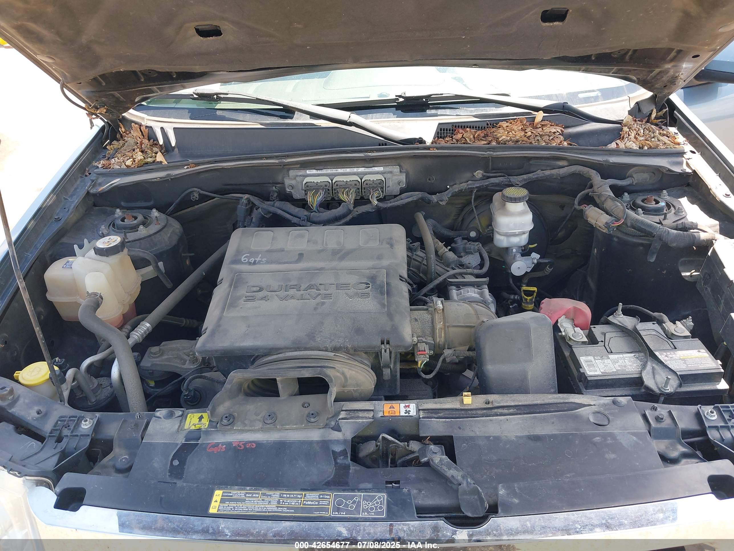FORD ESCAPE image 10