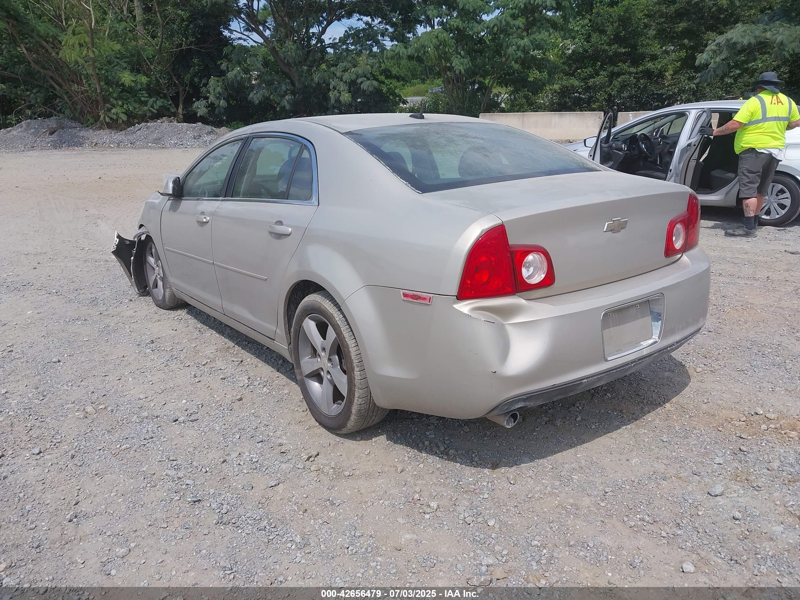 CHEVROLET MALIBU image 3