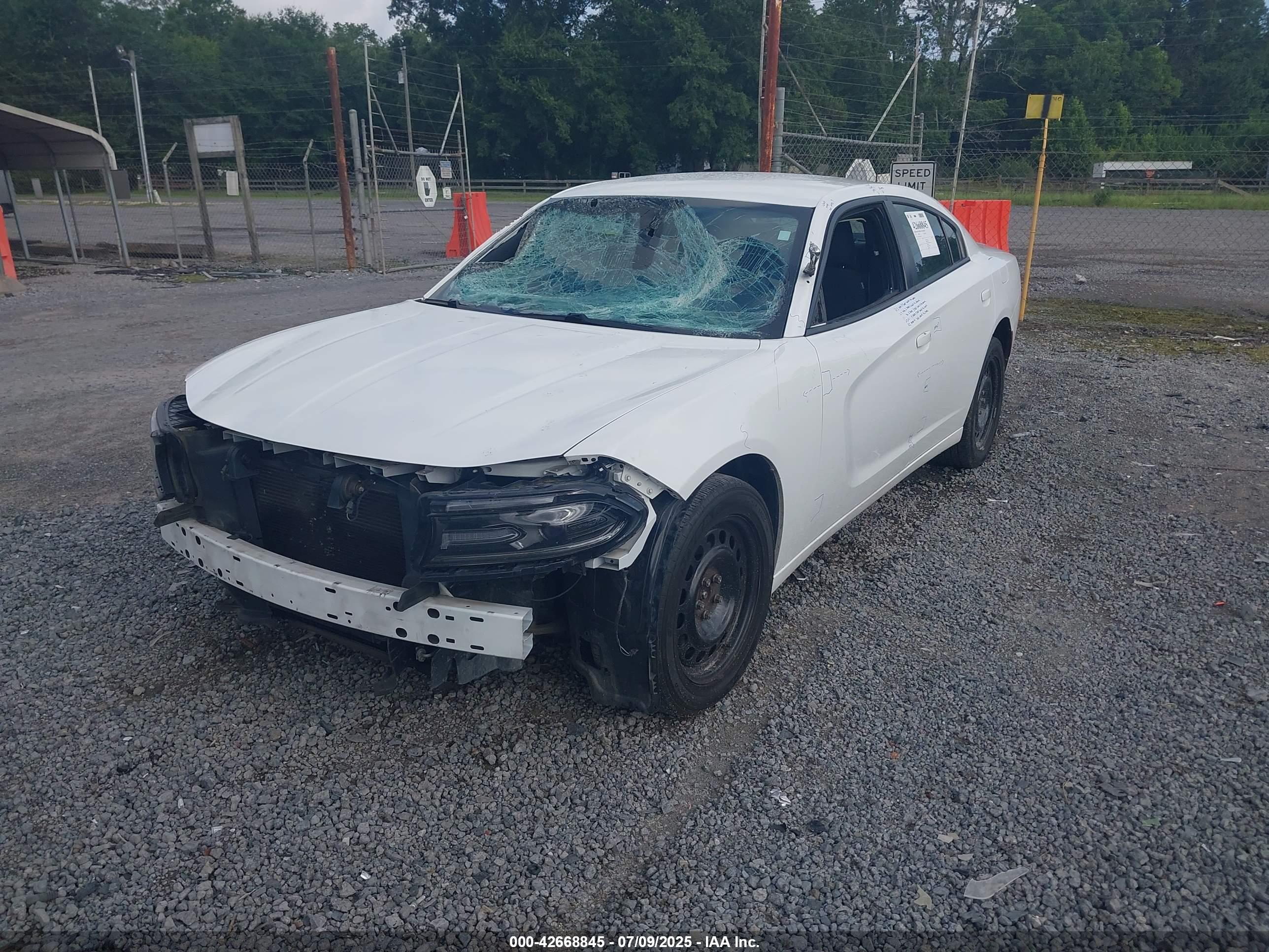 DODGE CHARGER image 2