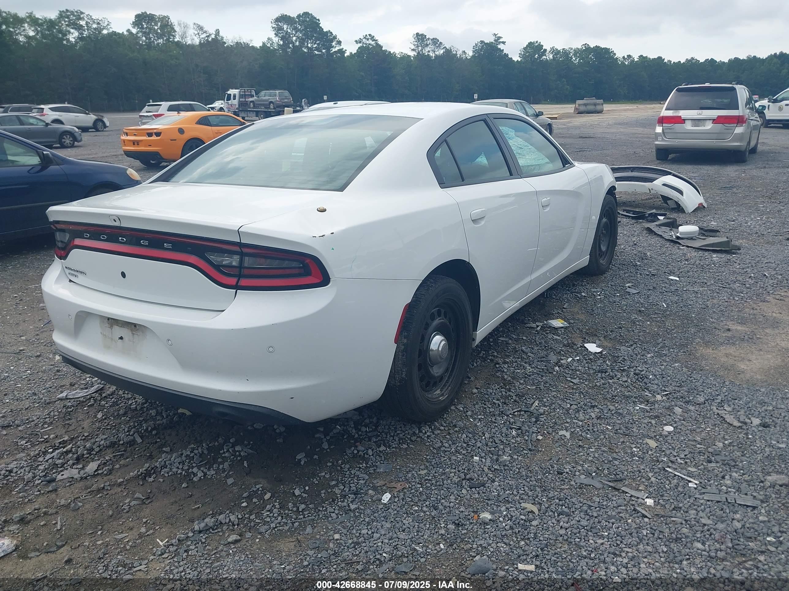DODGE CHARGER image 4