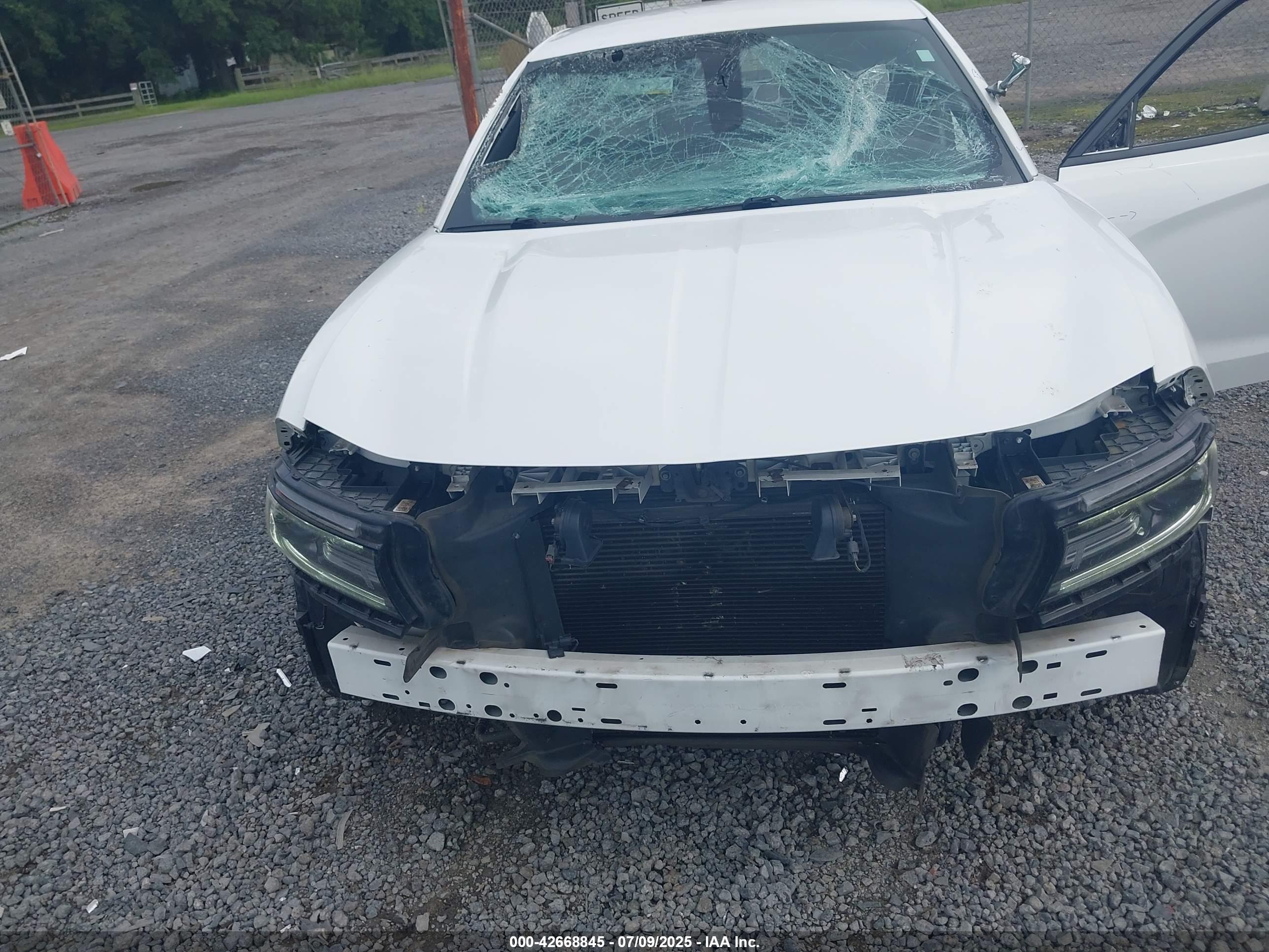 DODGE CHARGER image 6