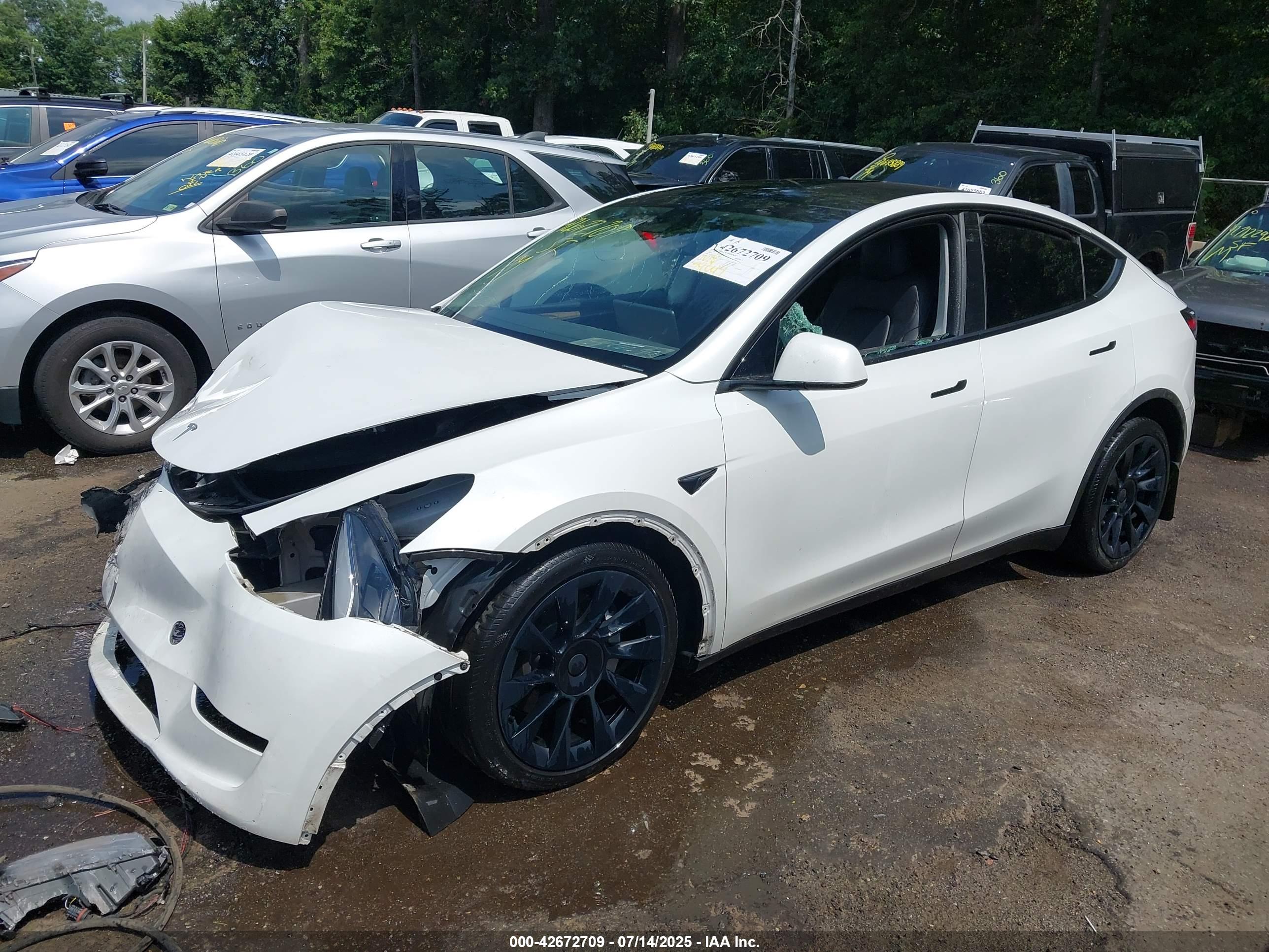 TESLA MODEL image 2