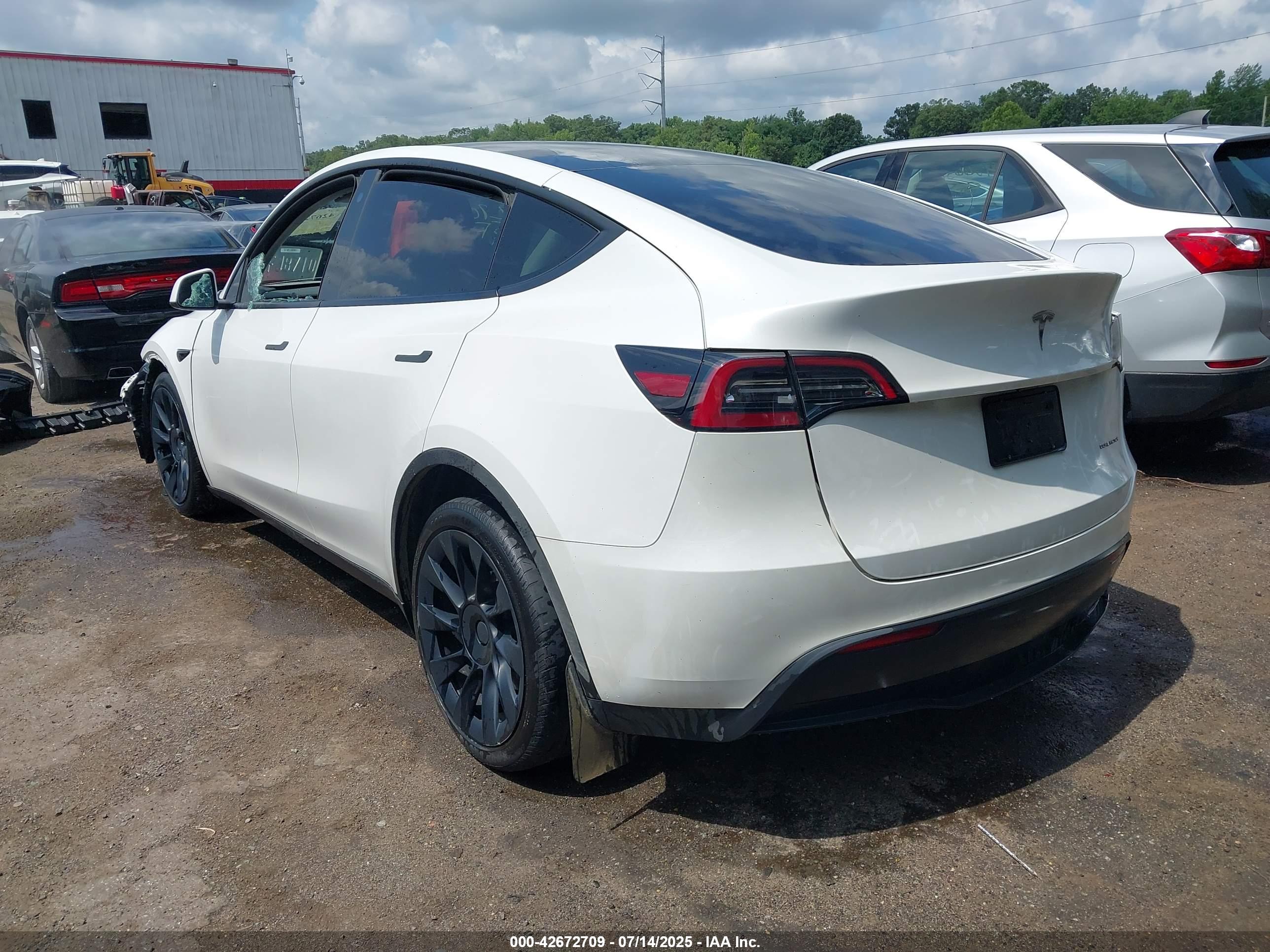 TESLA MODEL image 3