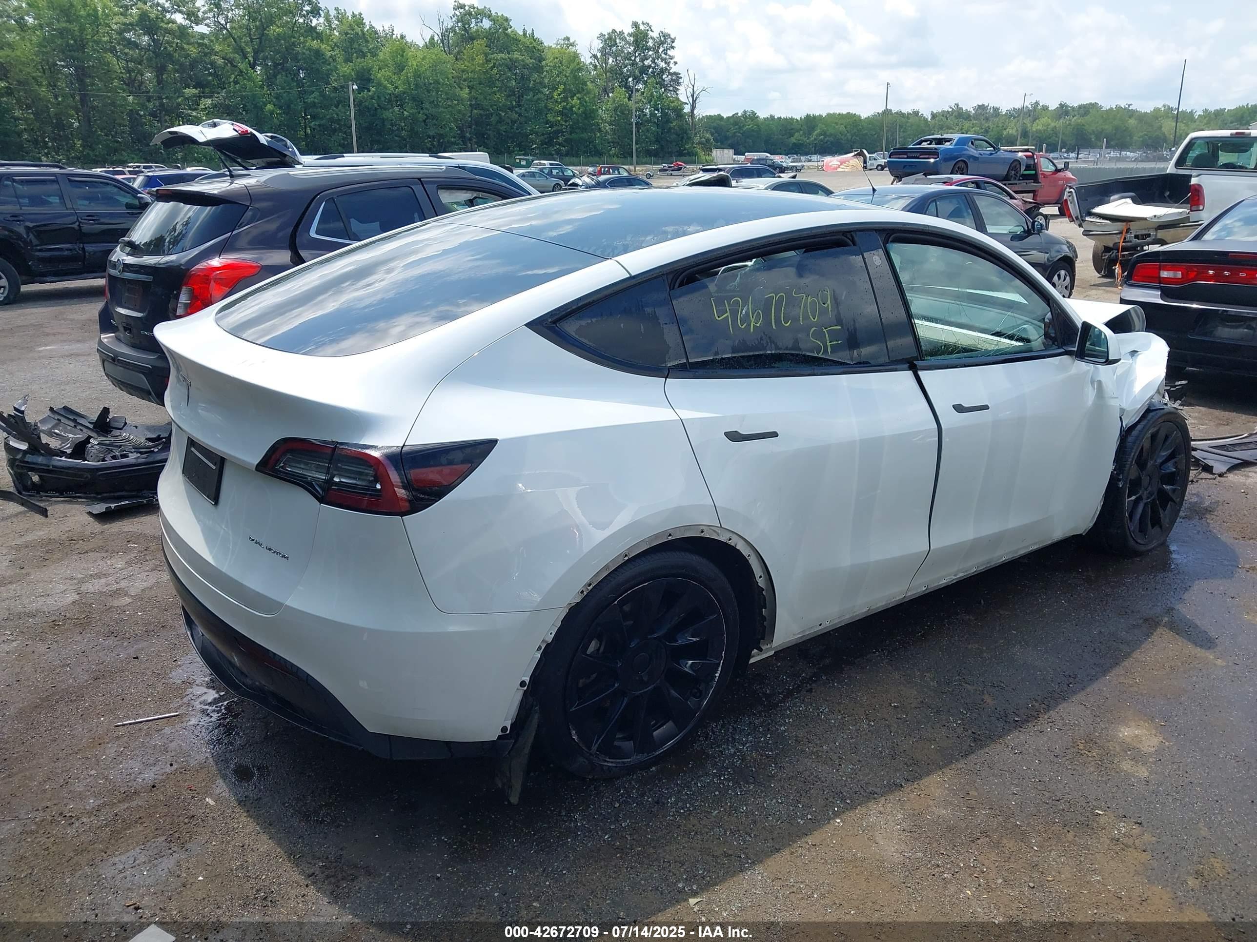 TESLA MODEL image 4