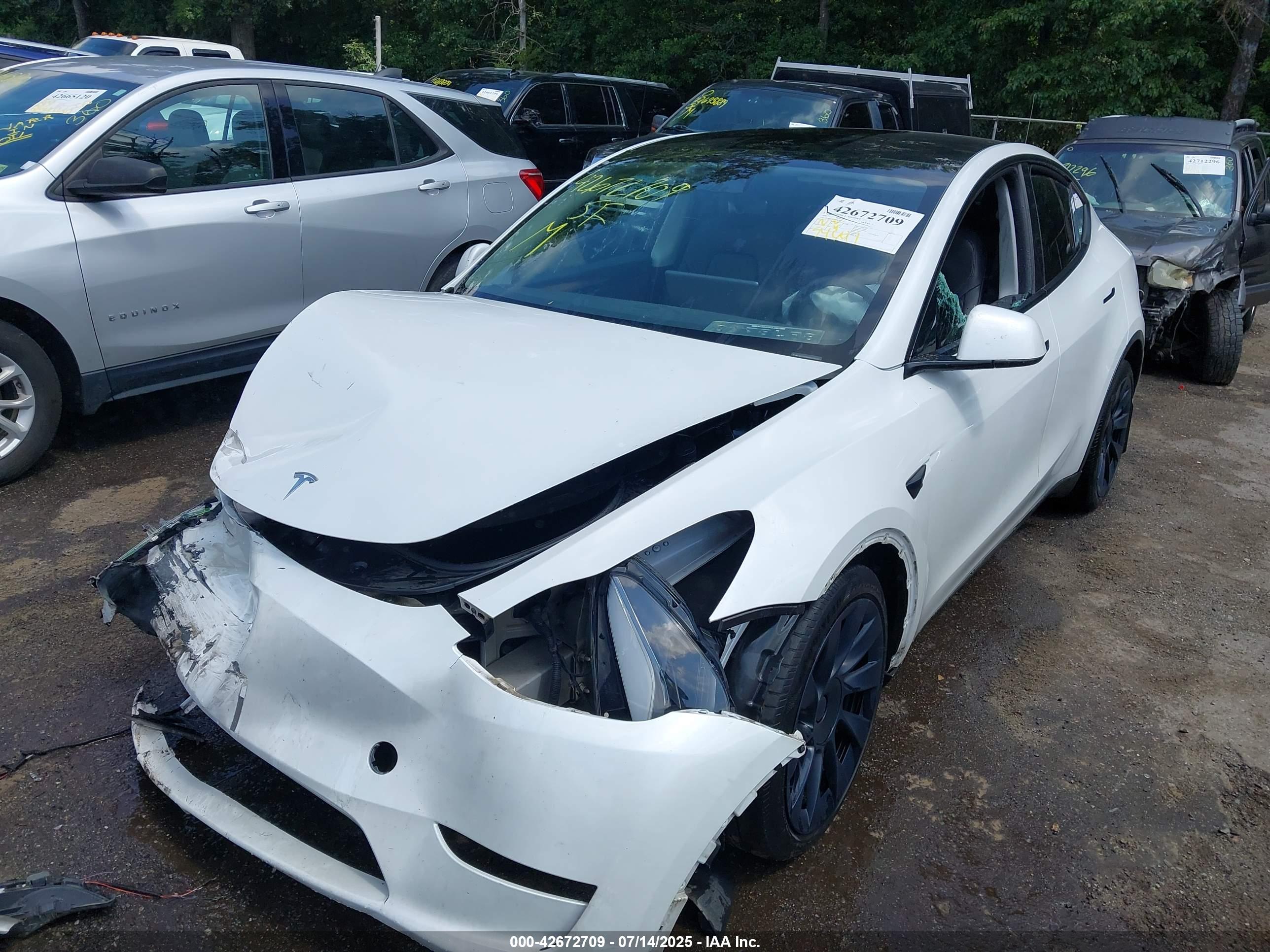 TESLA MODEL image 6