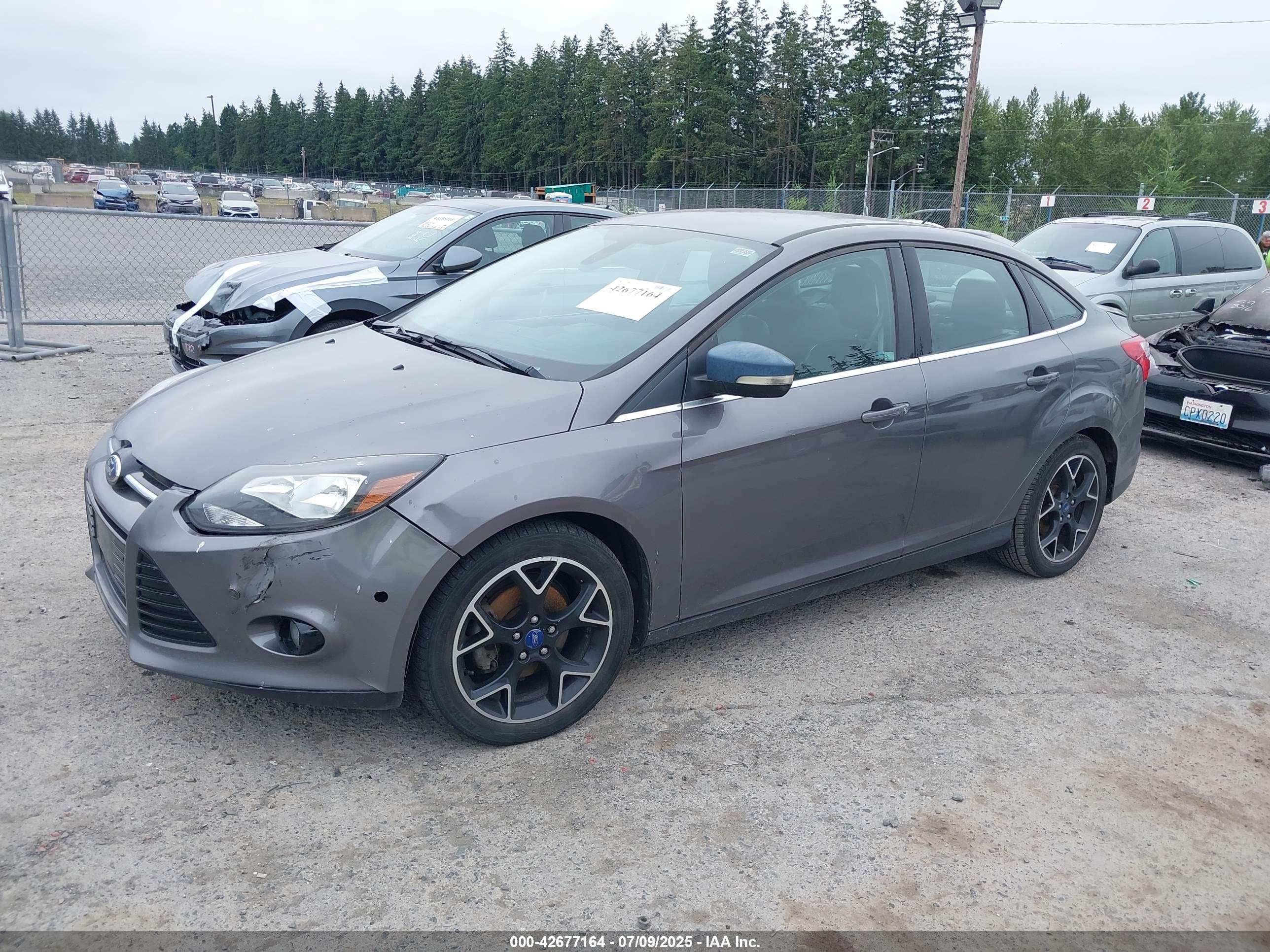 FORD FOCUS image 2