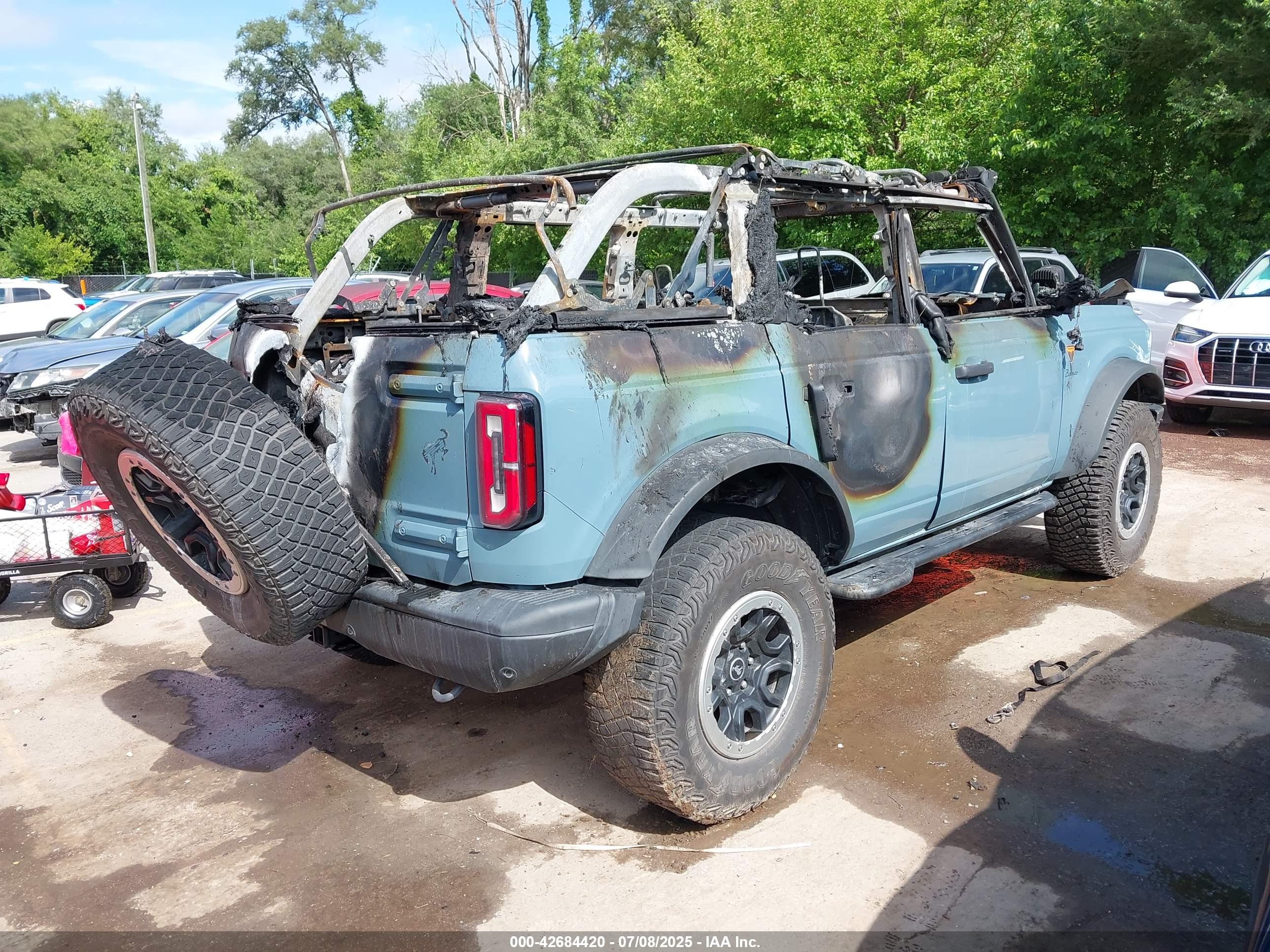 FORD BRONCO image 4