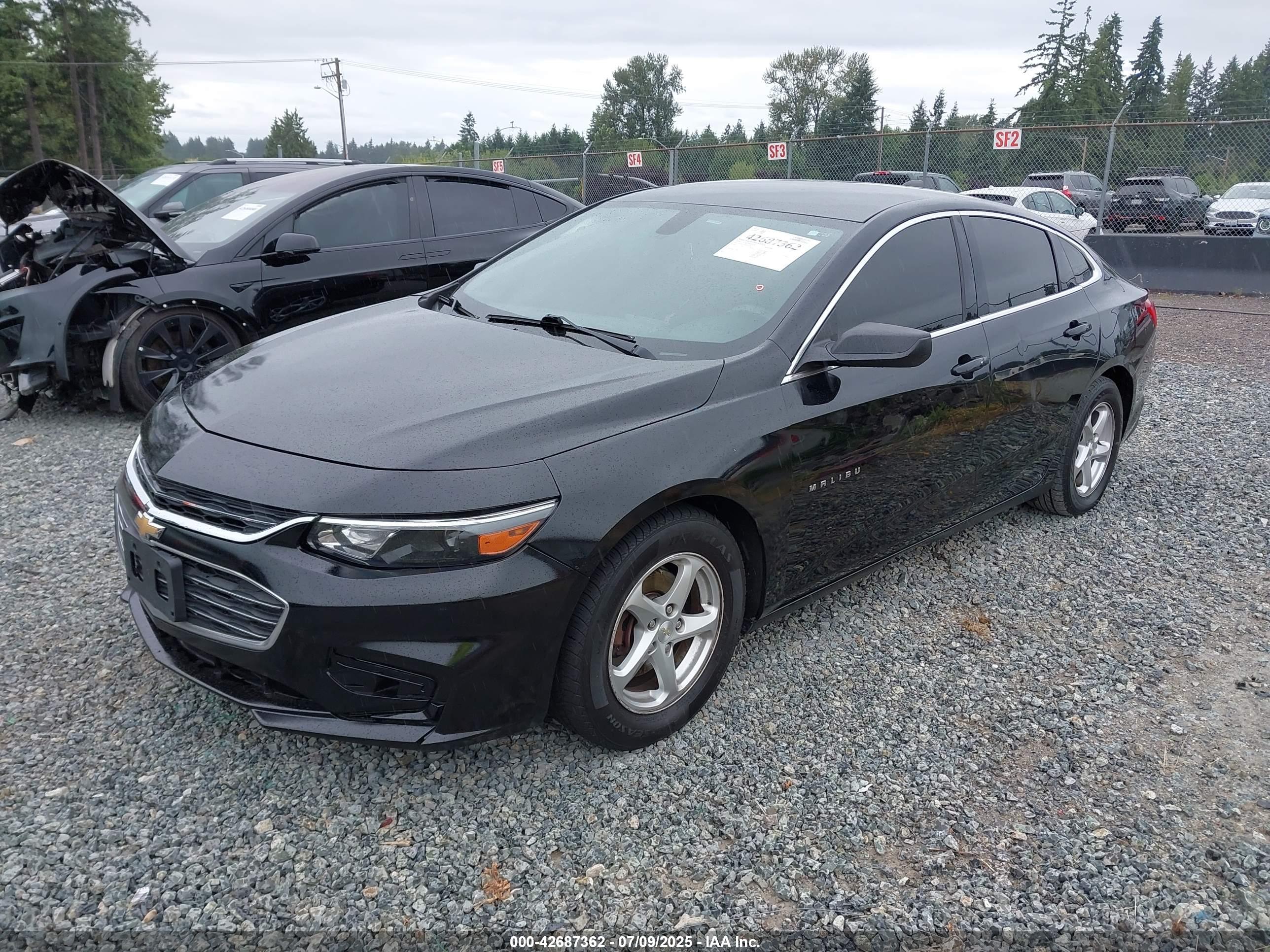 CHEVROLET MALIBU image 2