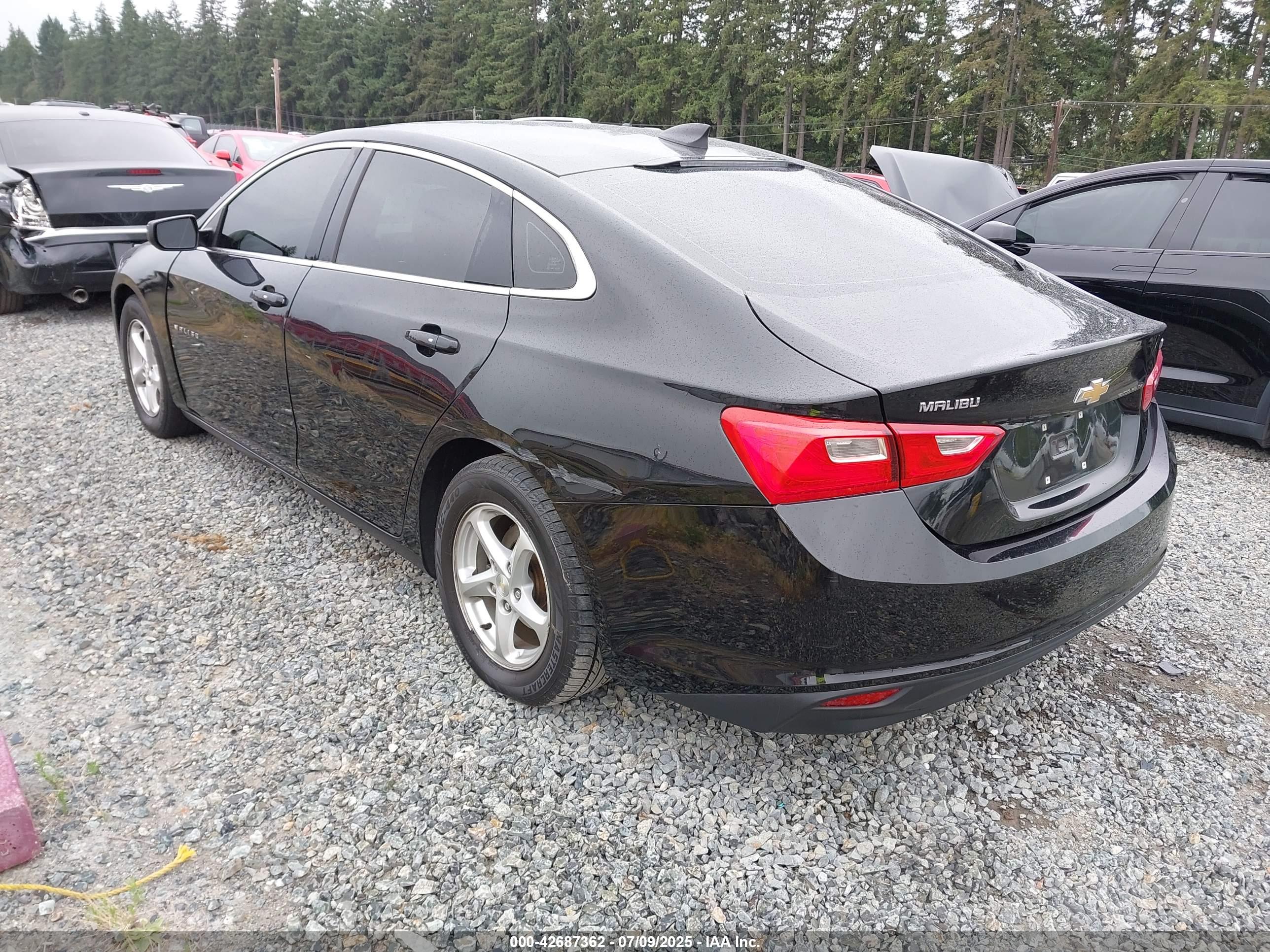 CHEVROLET MALIBU image 3