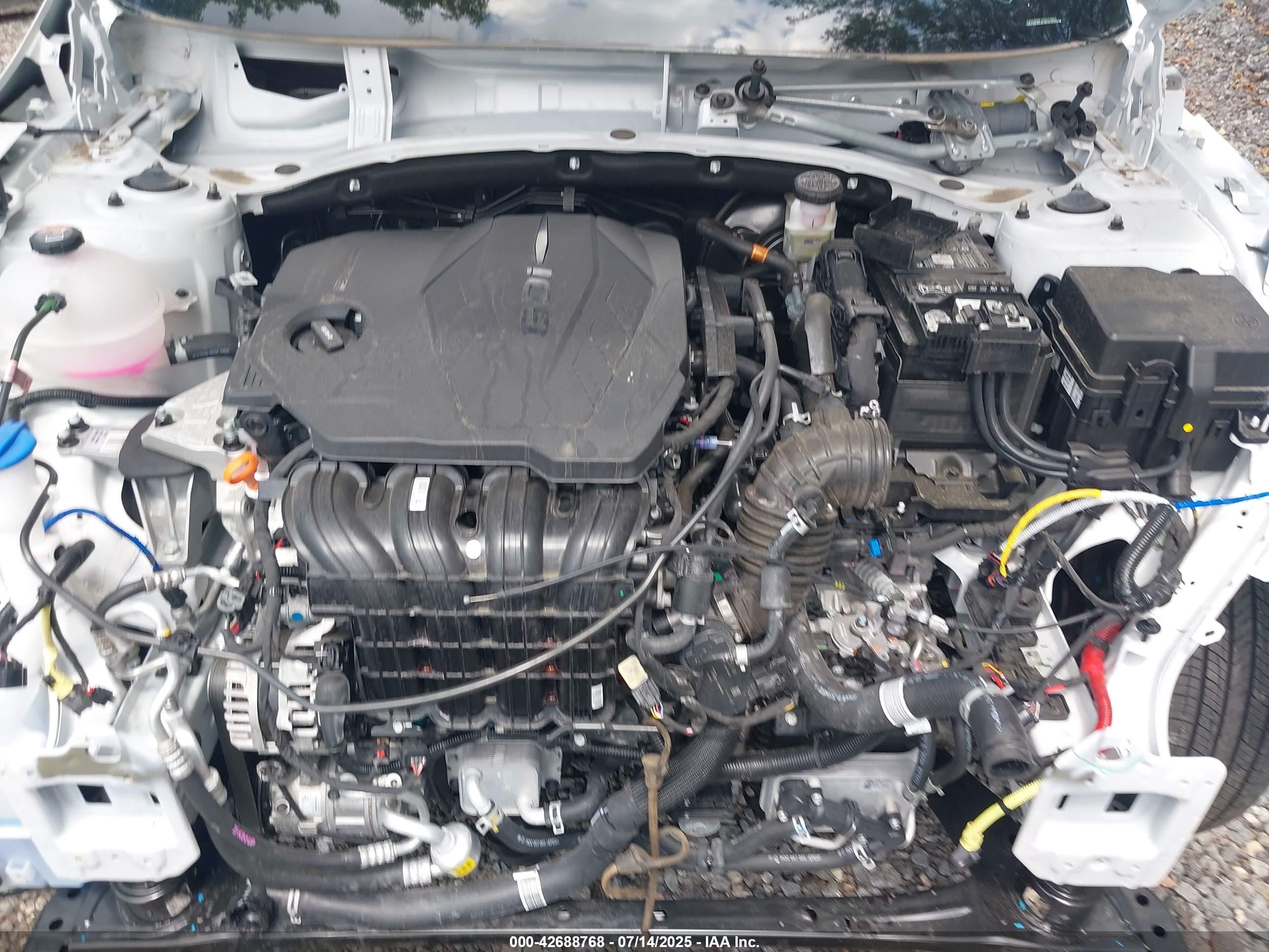 KIA SPORTAGE image 10