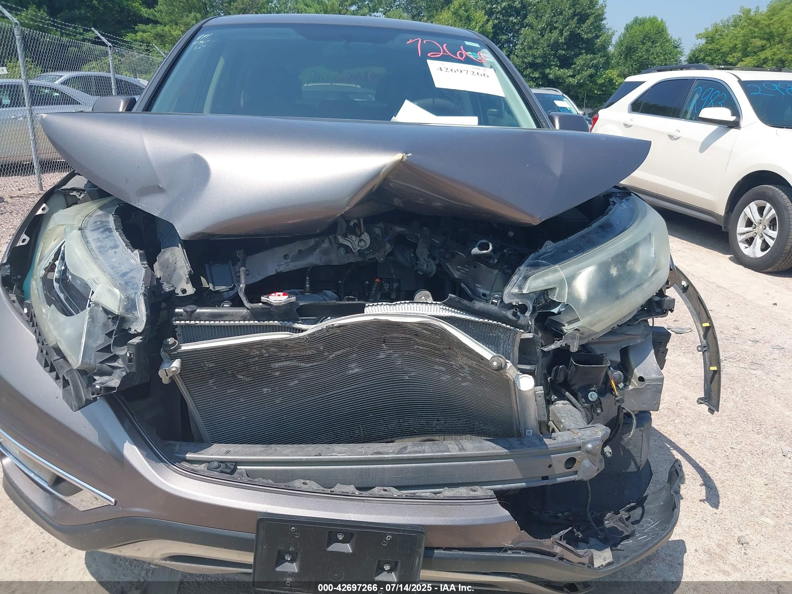 HONDA CR-V image 6