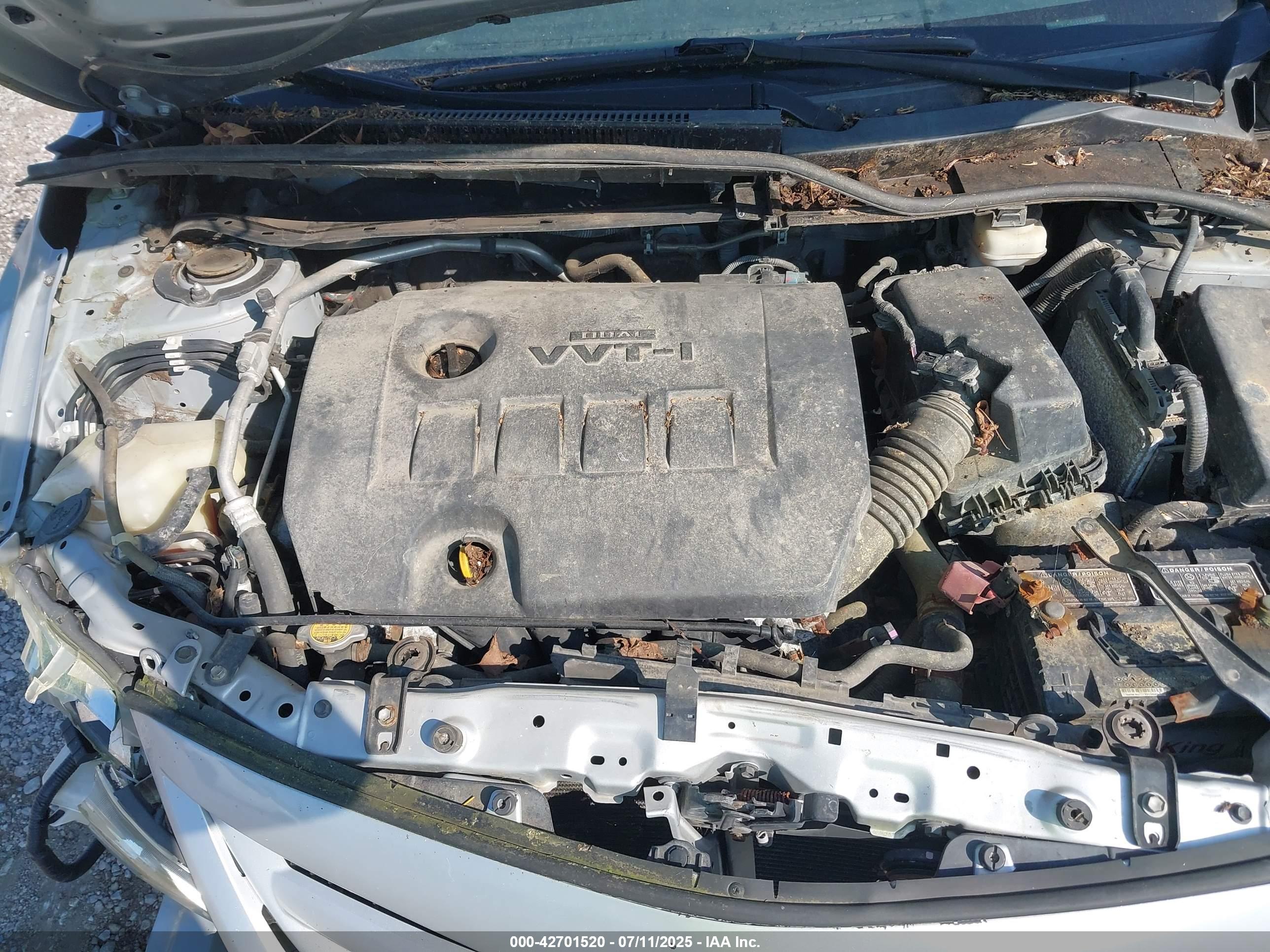 TOYOTA COROLLA image 10