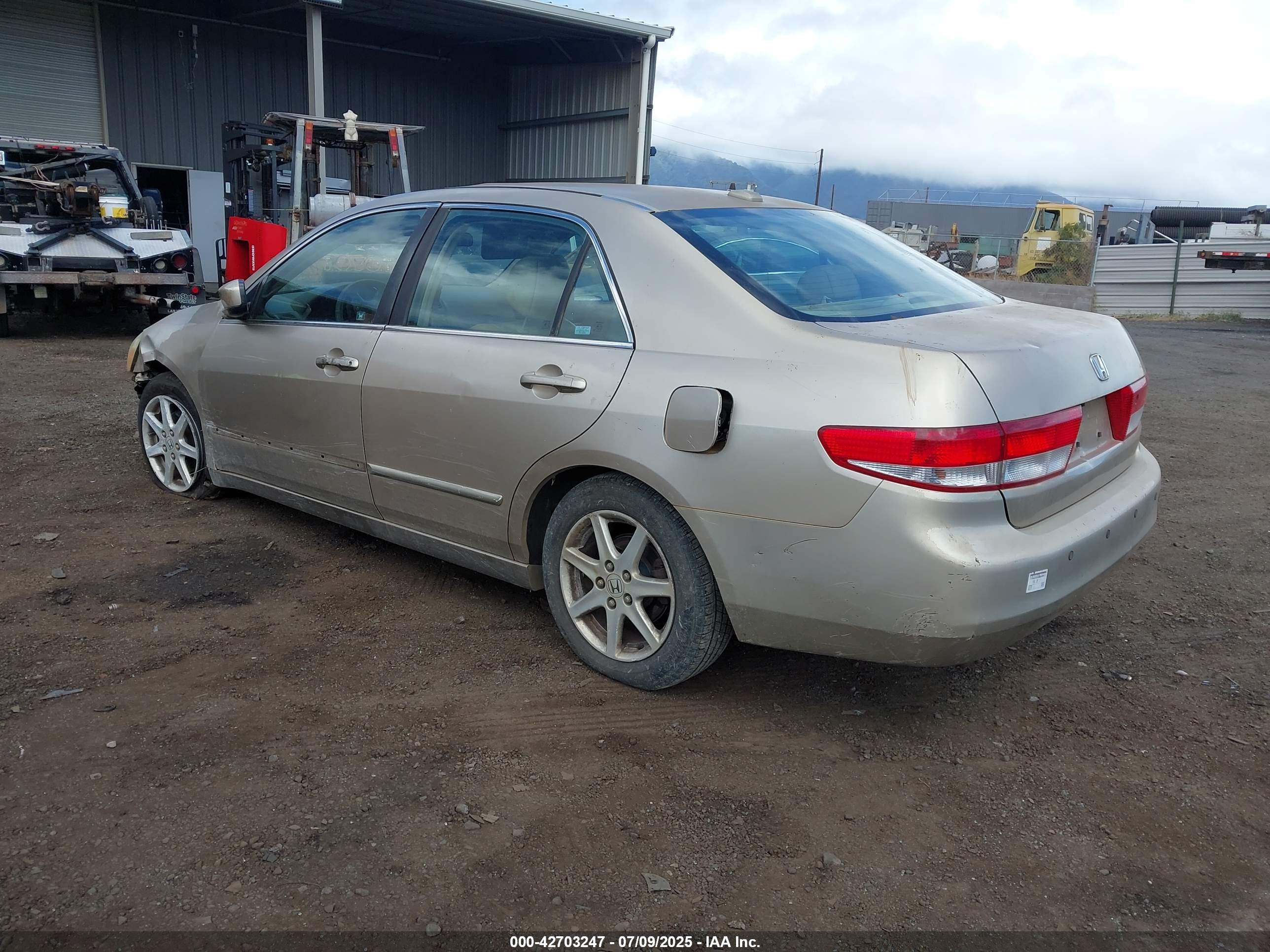 HONDA ACCORD image 3