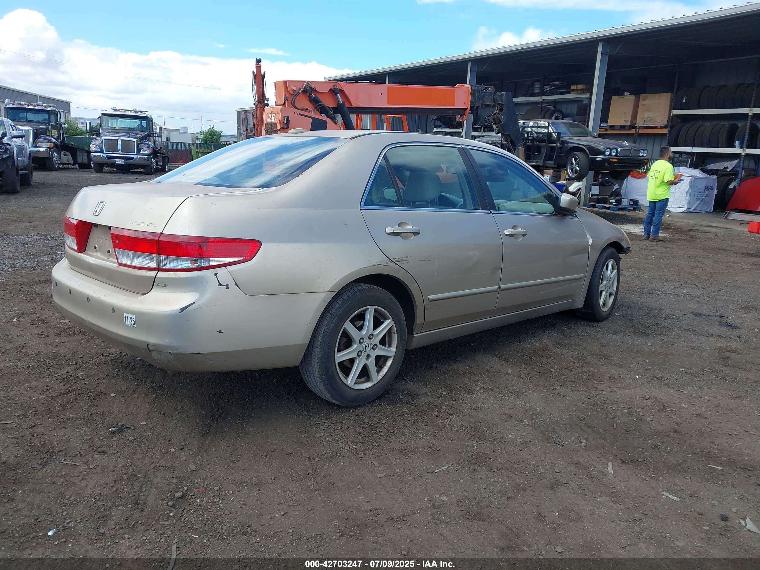 HONDA ACCORD image 4