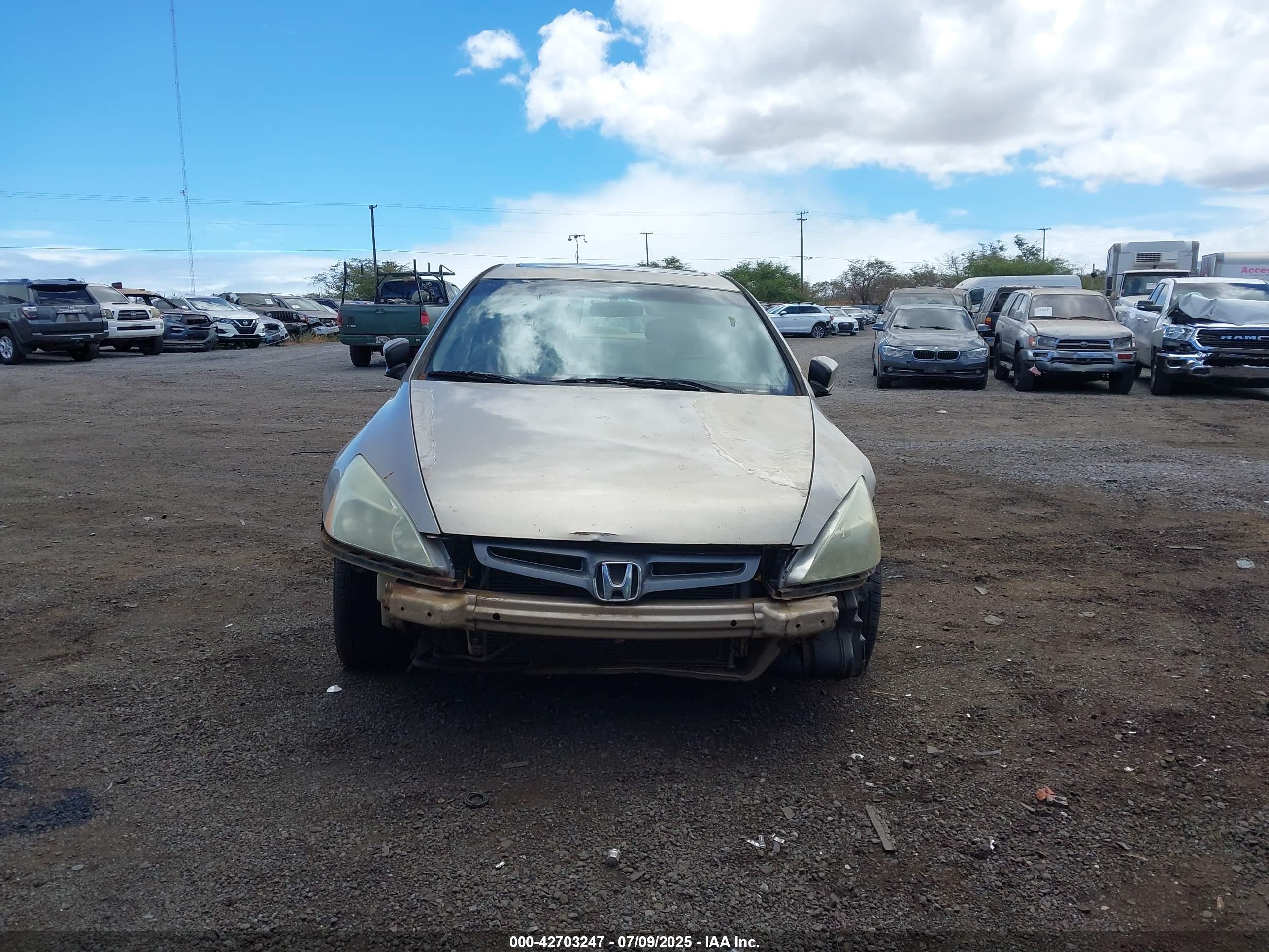 HONDA ACCORD image 6