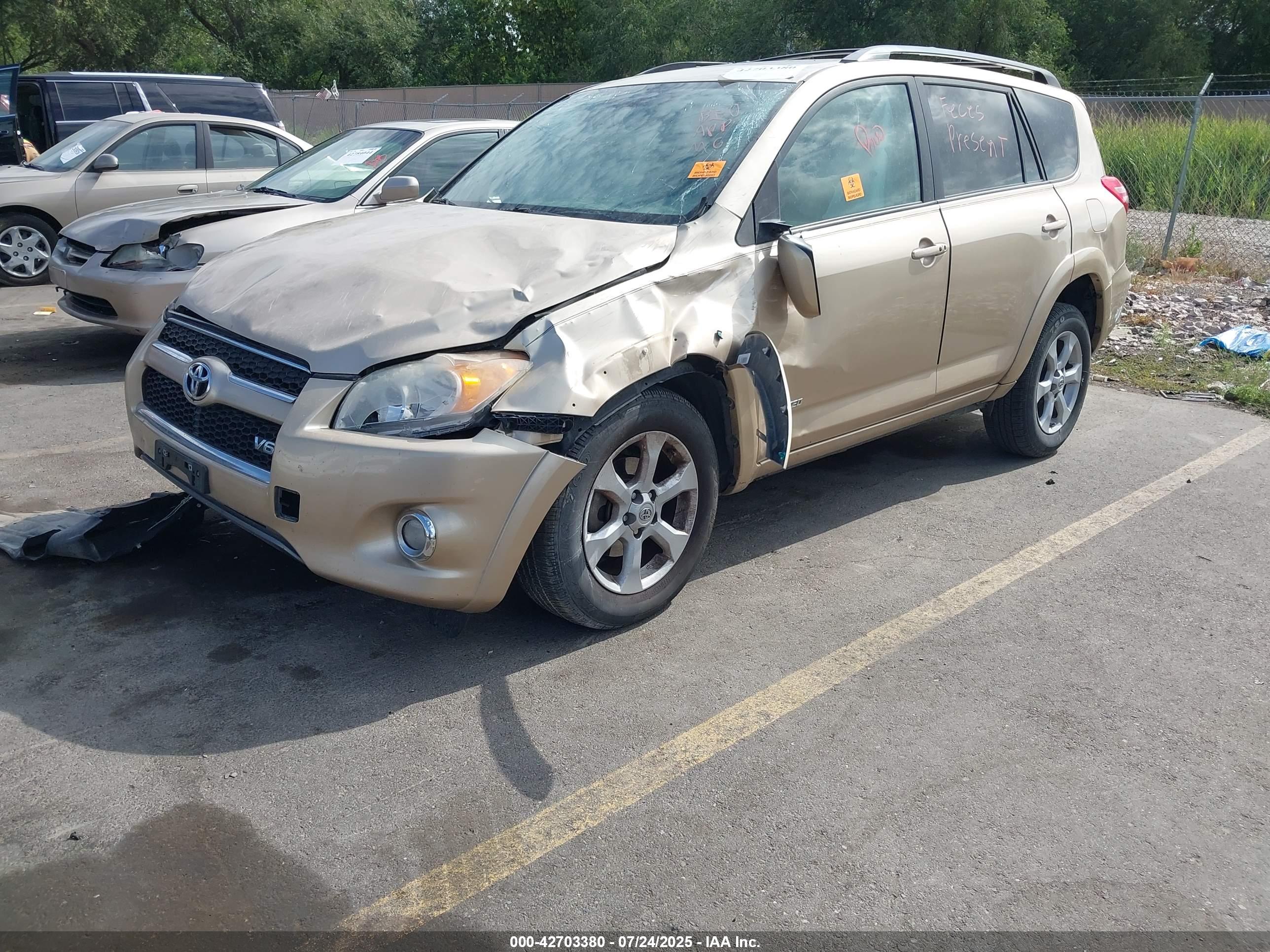 TOYOTA RAV4 image 2