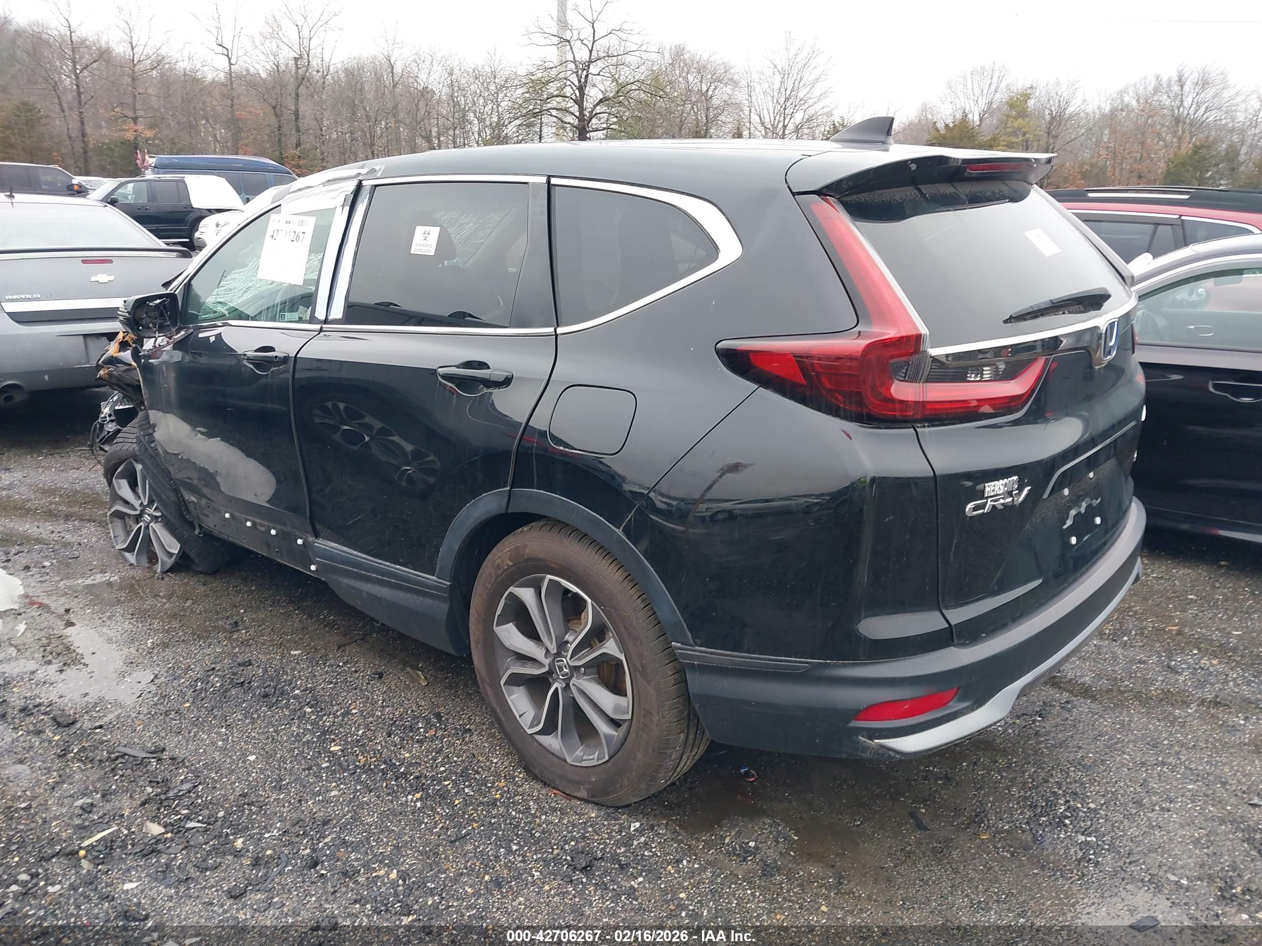 HONDA CR-V image 3