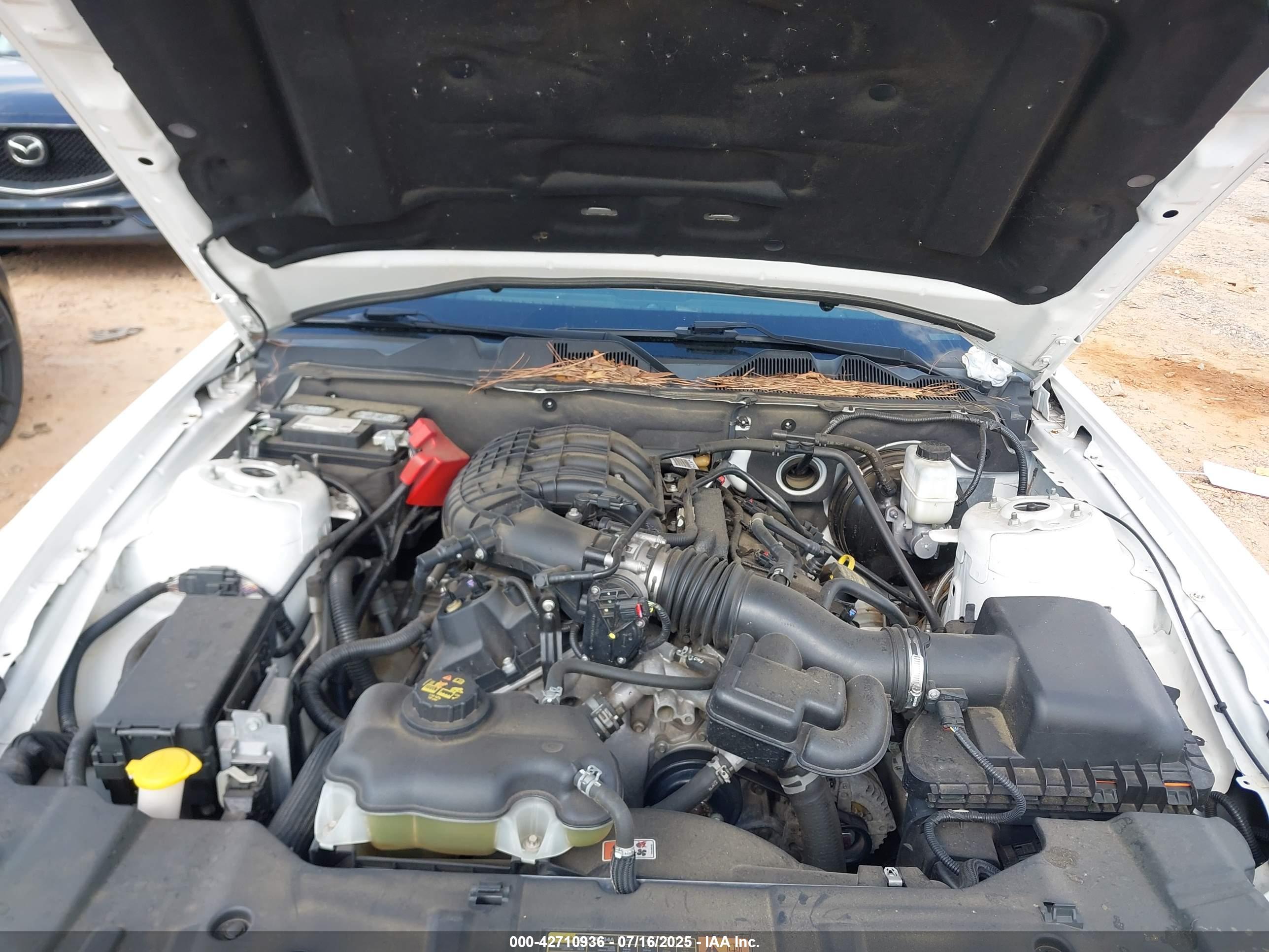 FORD MUSTANG image 10