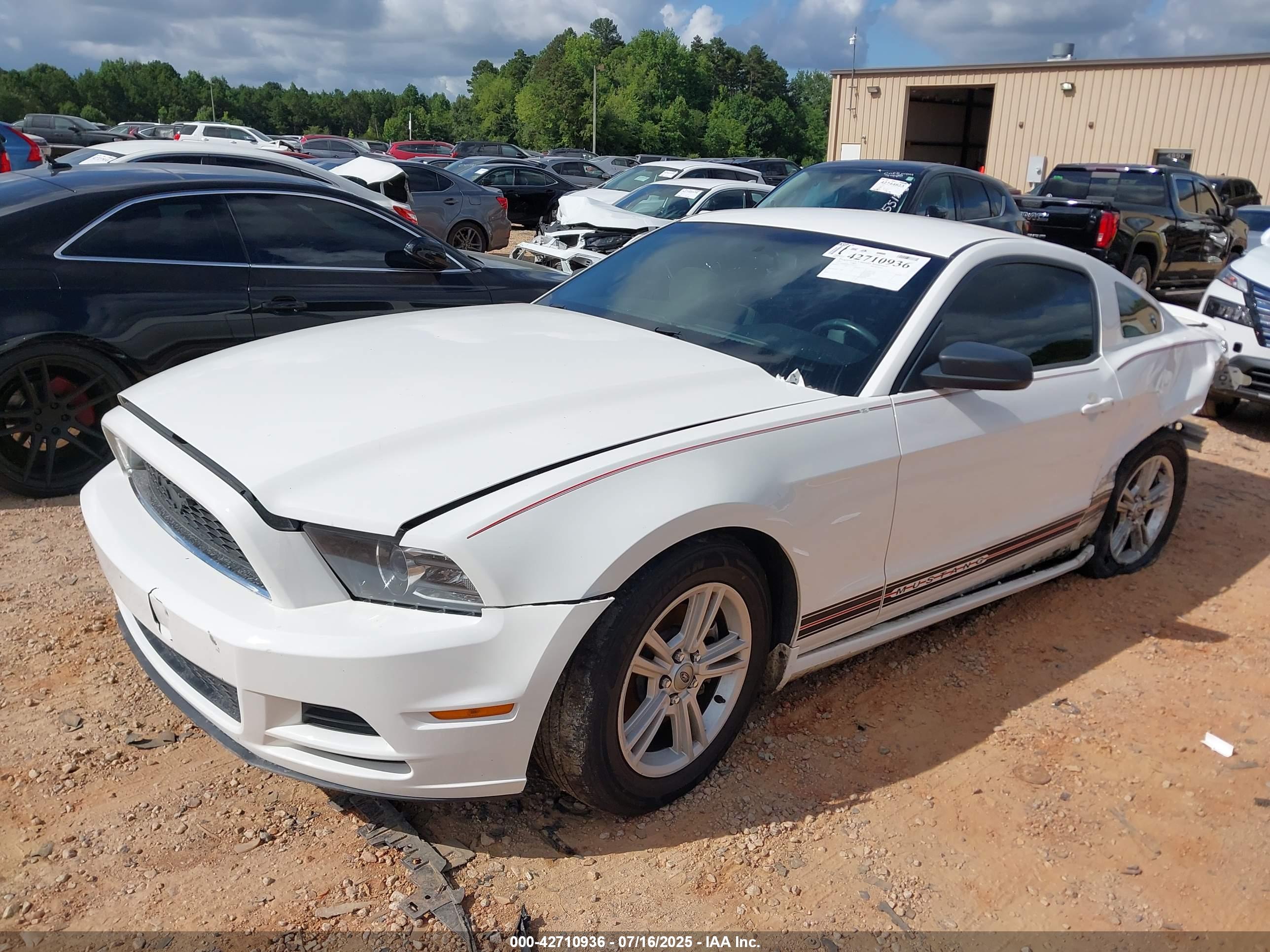 FORD MUSTANG image 2
