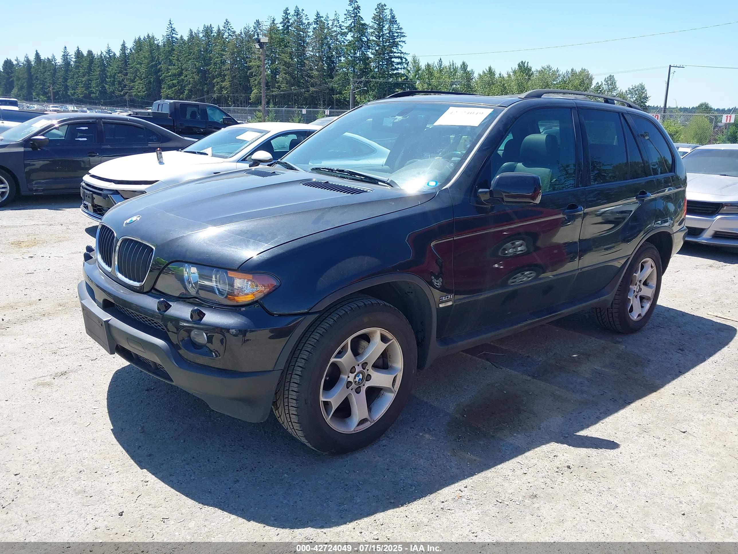 BMW X5 image 2