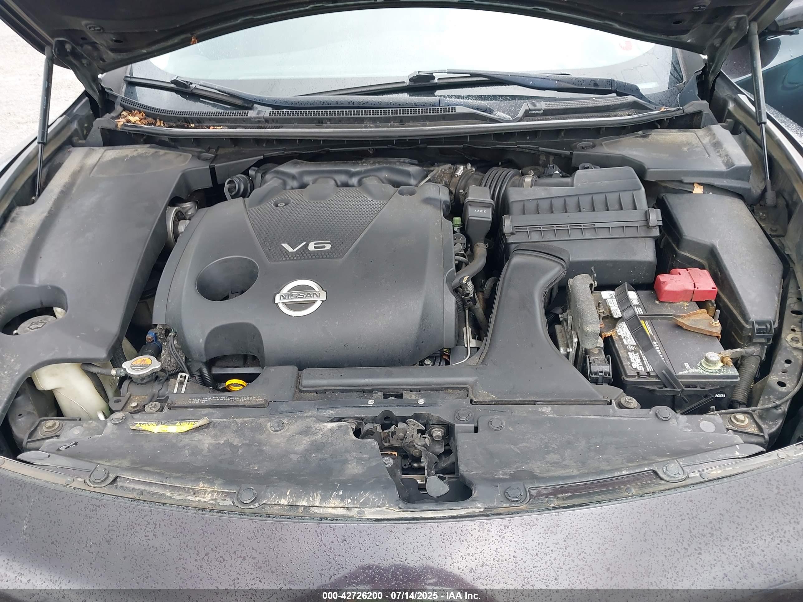 NISSAN MAXIMA image 10