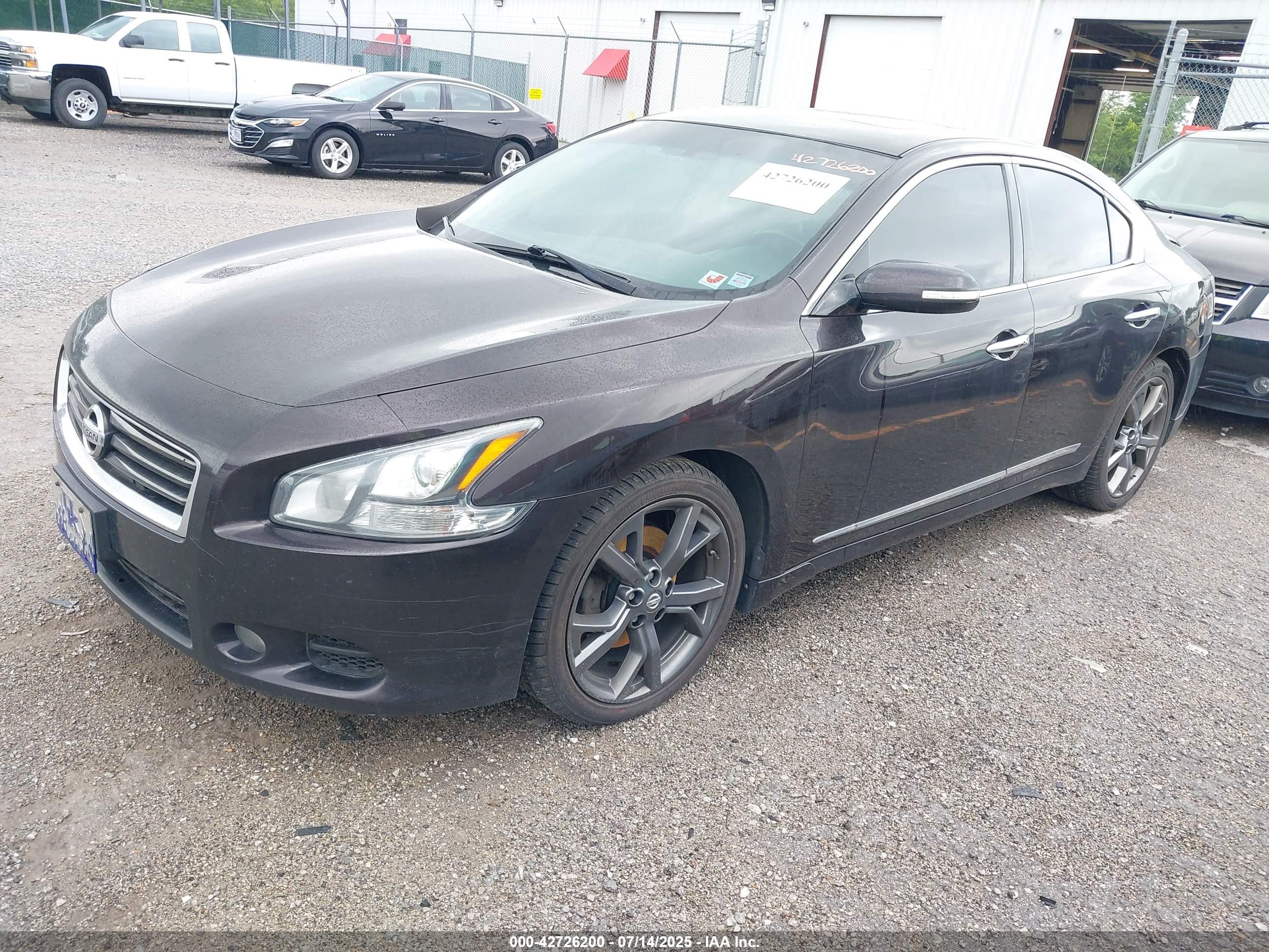 NISSAN MAXIMA image 2