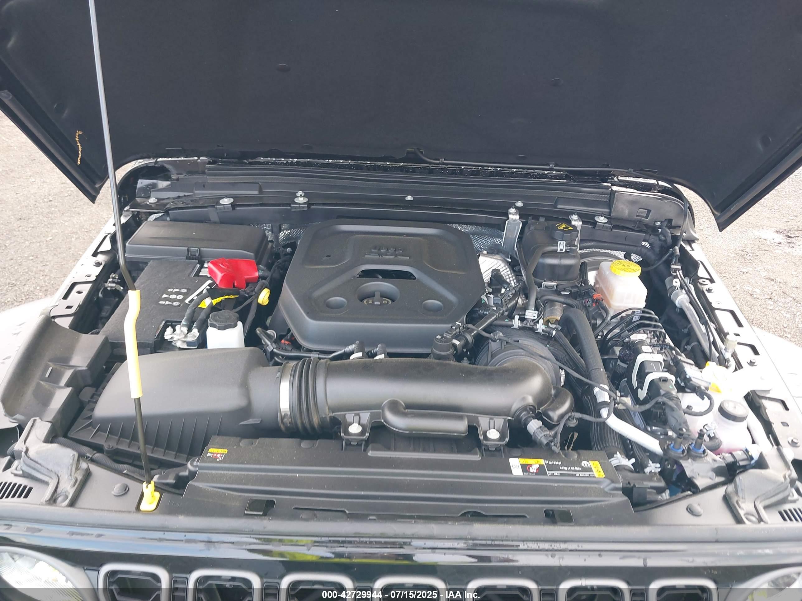 JEEP WRANGLER image 10