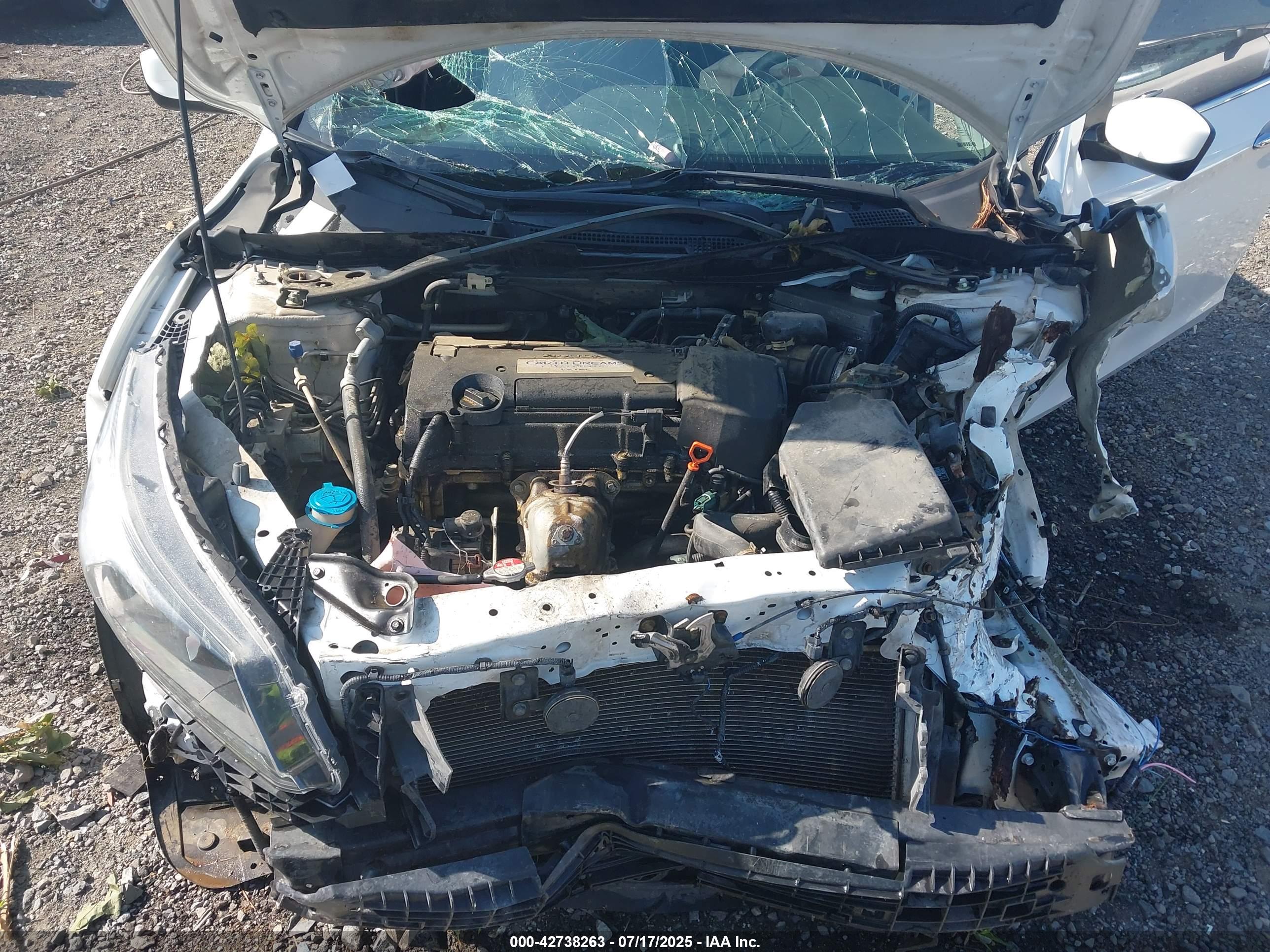 HONDA ACCORD image 10