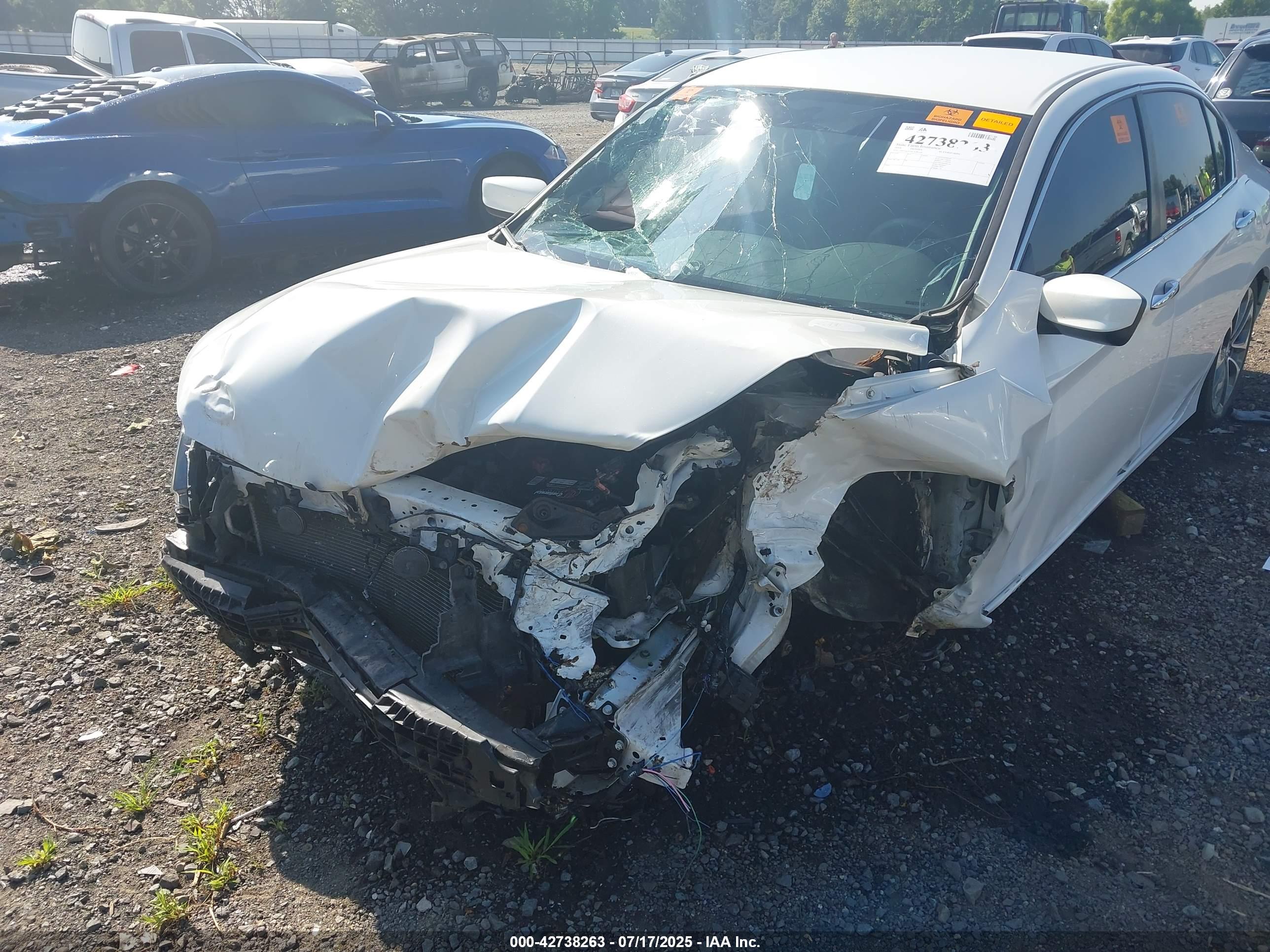 HONDA ACCORD image 6