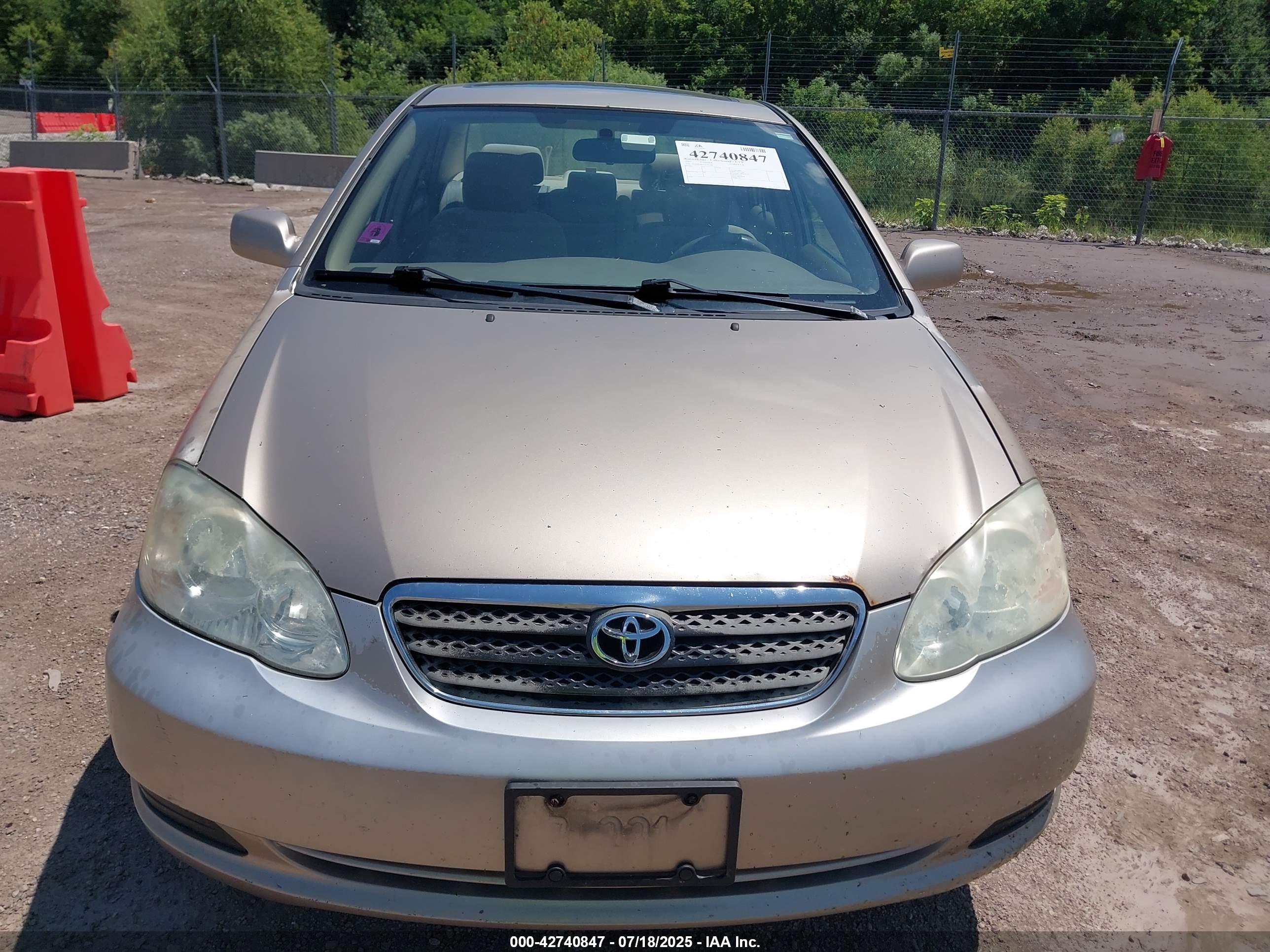 TOYOTA COROLLA image 6