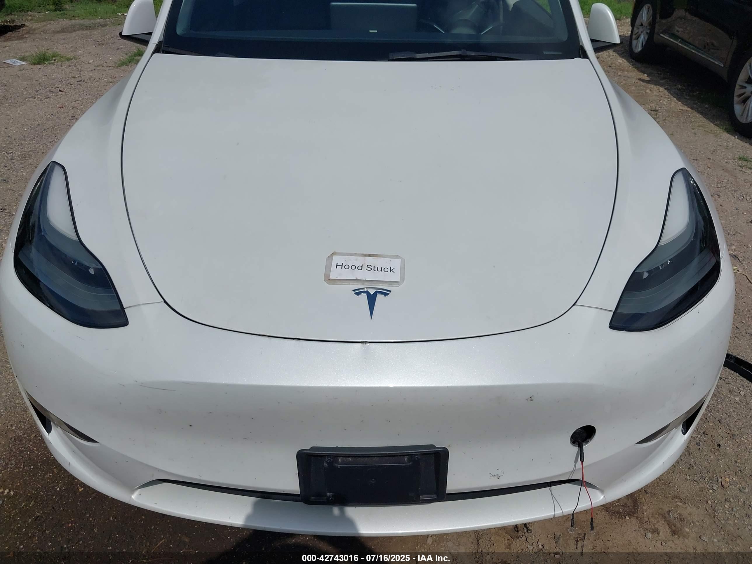 TESLA MODEL image 10