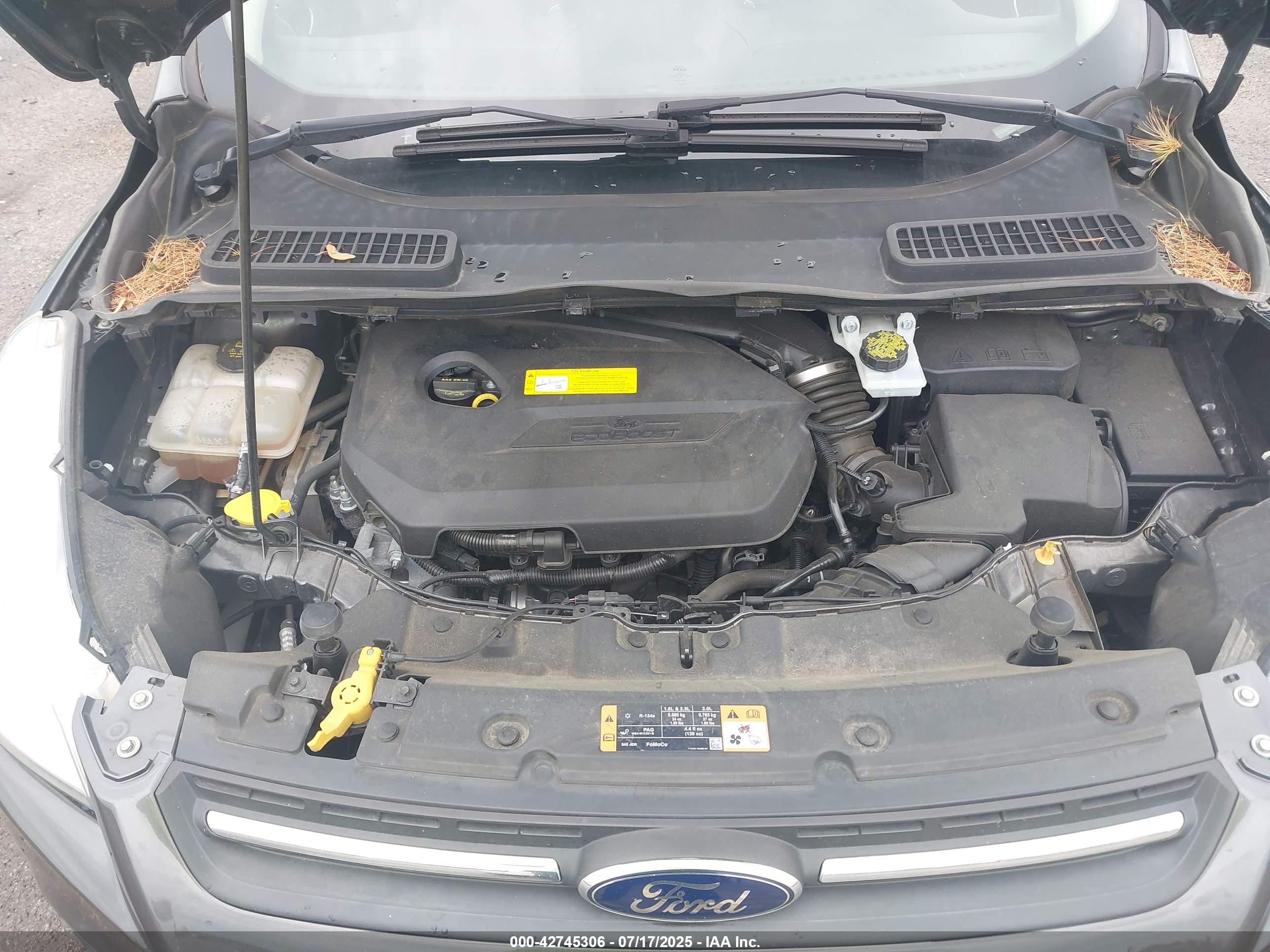 FORD ESCAPE image 10