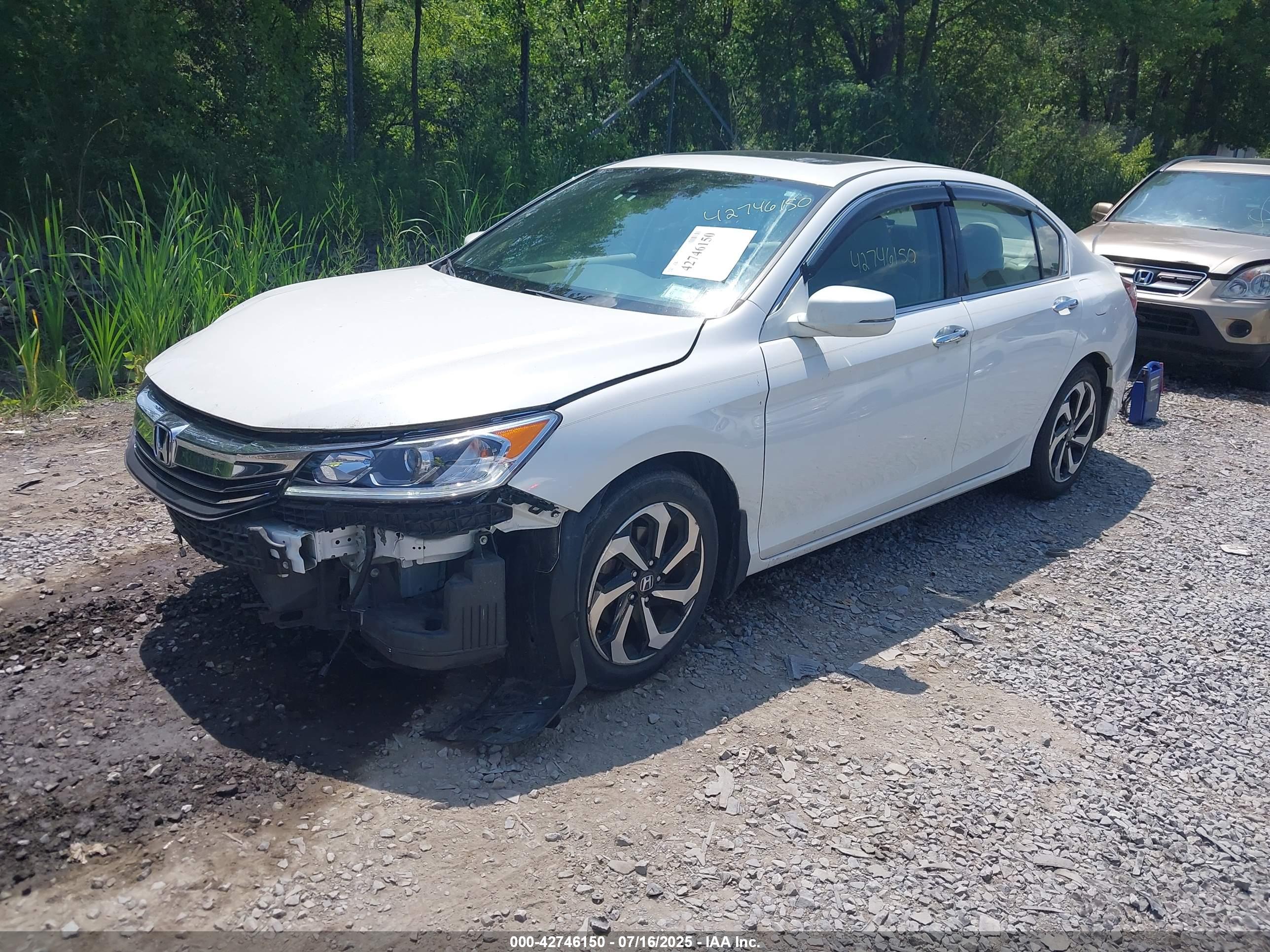 HONDA ACCORD image 2