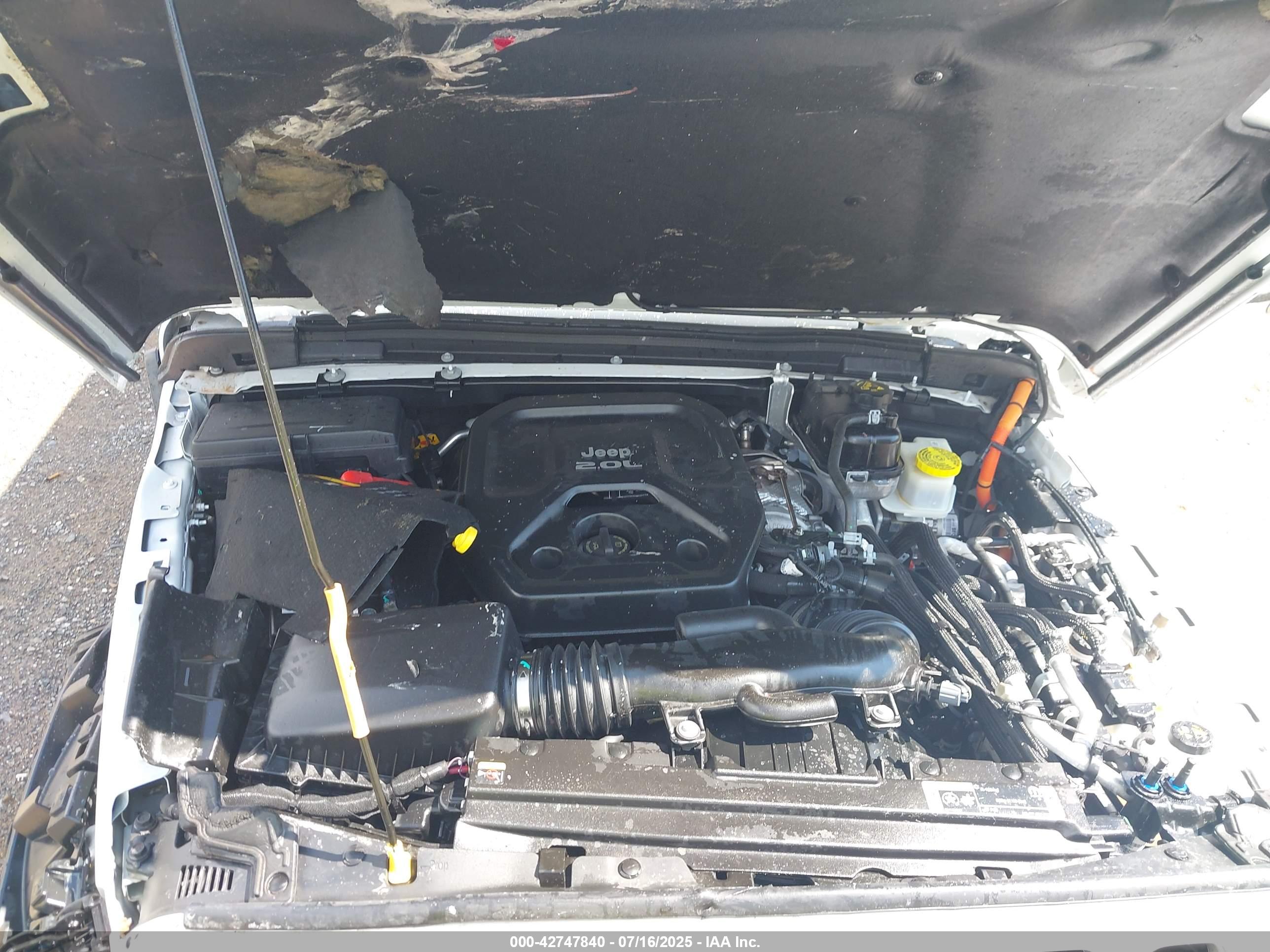 JEEP WRANGLER image 10