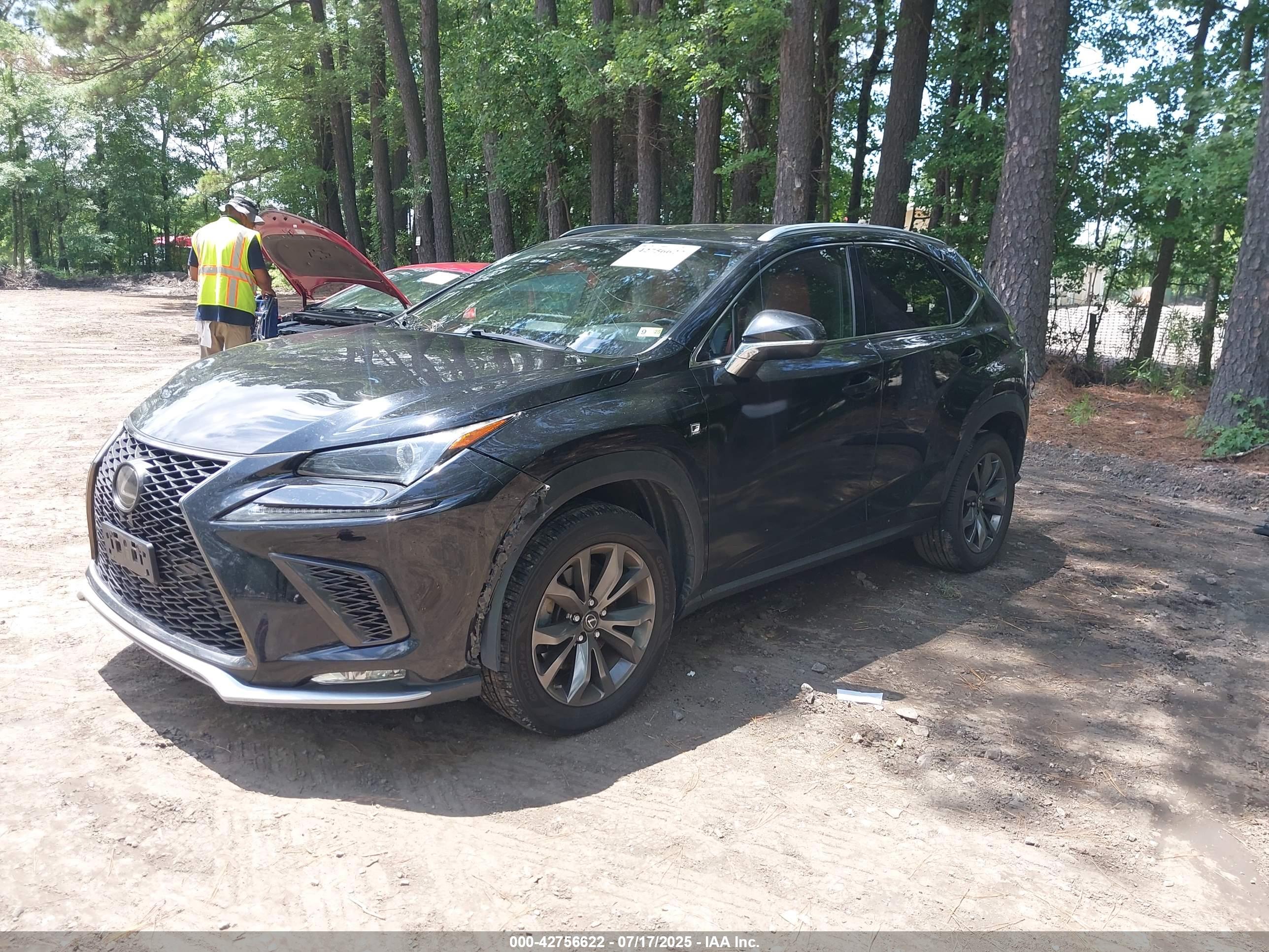 LEXUS NX image 2