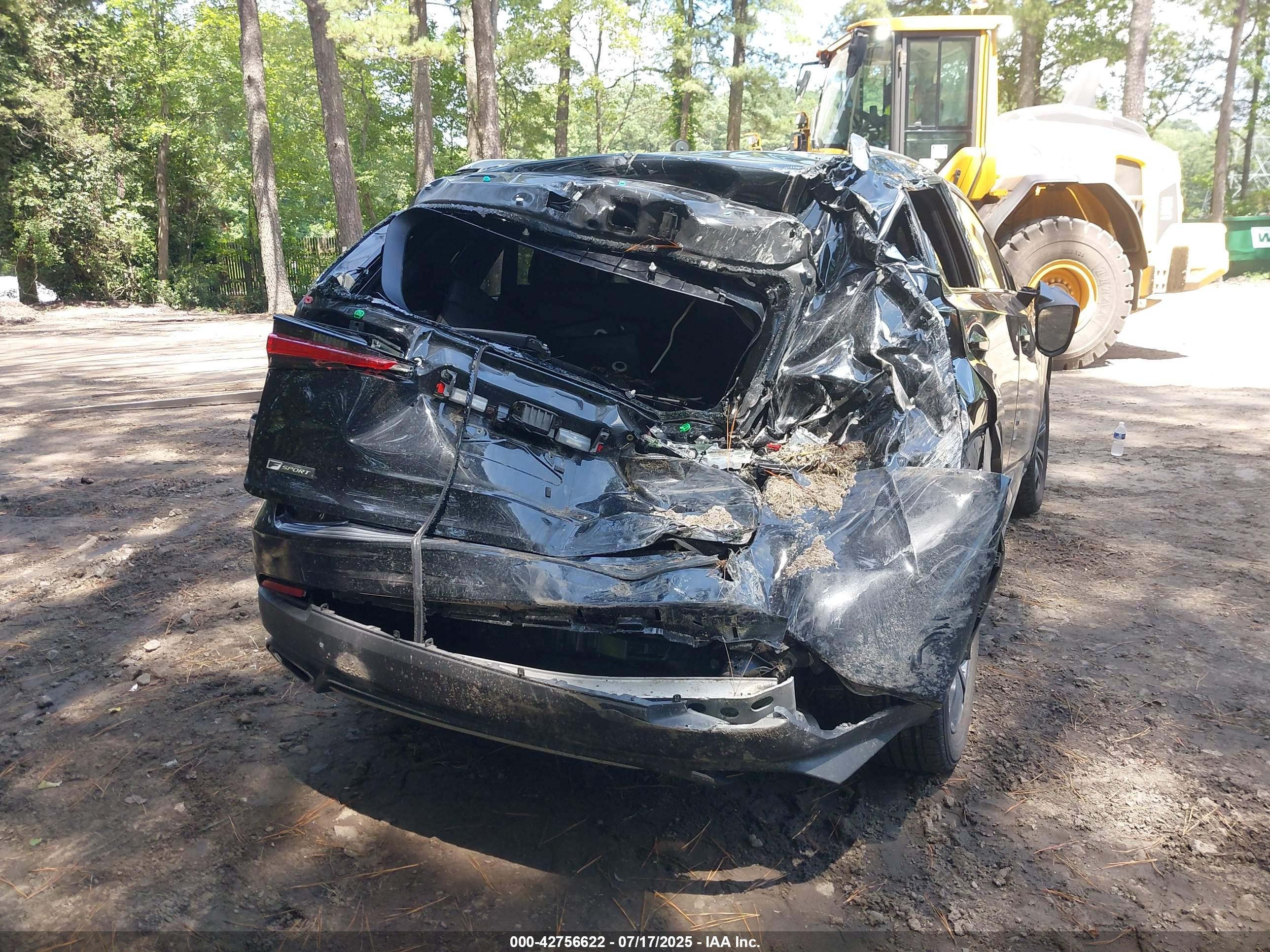 LEXUS NX image 6